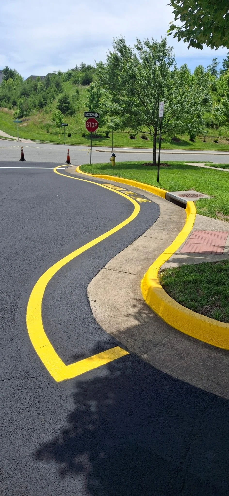 A sidewalk with yellow painted curbs and a yellow line marking a fire lane, next to a parking lot with a yellow curb, trees, a stop sign, and traffic cones.