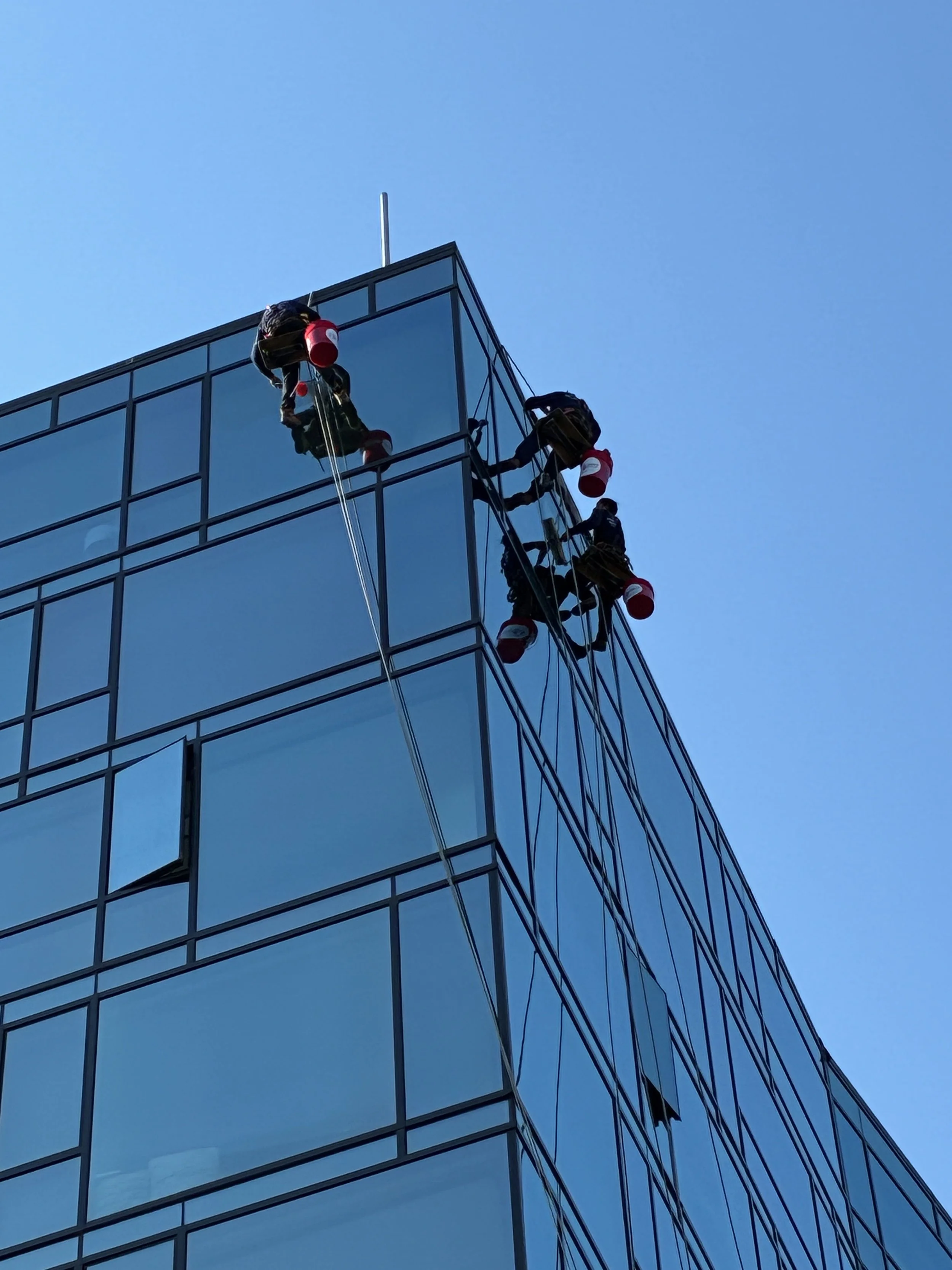 Window washers cleaning the glass exterior of a modern office building while suspended on ropes.