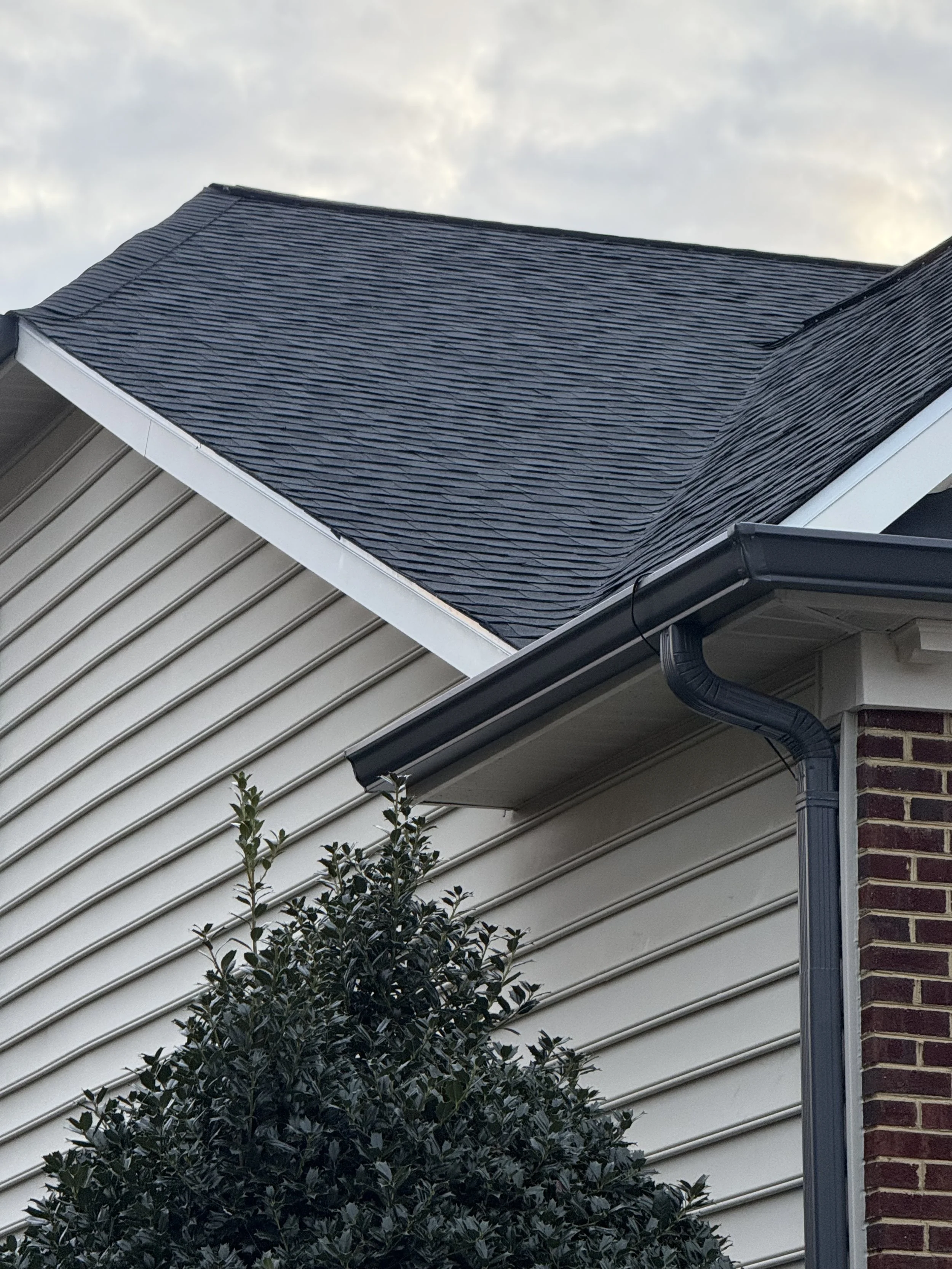 Close-up view of a house exterior showing a black shingle roof, beige vinyl siding, a brick corner, and a black gutter system. A part of a tree with dark green leaves is visible in the lower left.