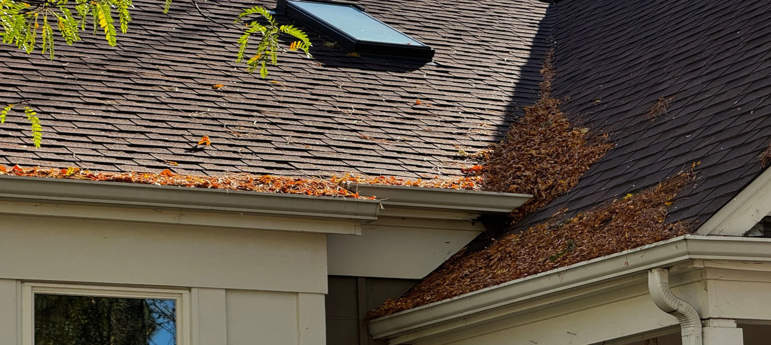 Gutters packed with fall leaves on a home in Boulder County, Colorado