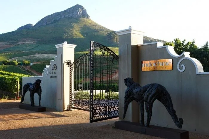 Stellenbosch Wine & Heritage Tour – History, Vineyards & Wine