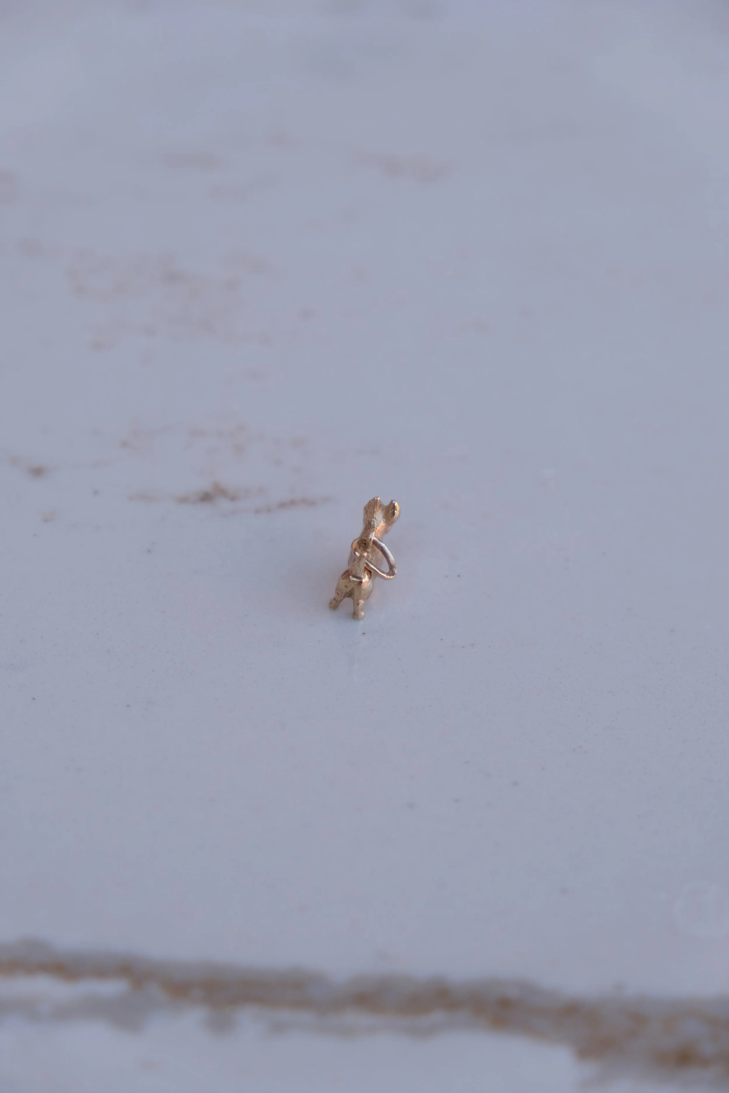 DSCF7186.JPG