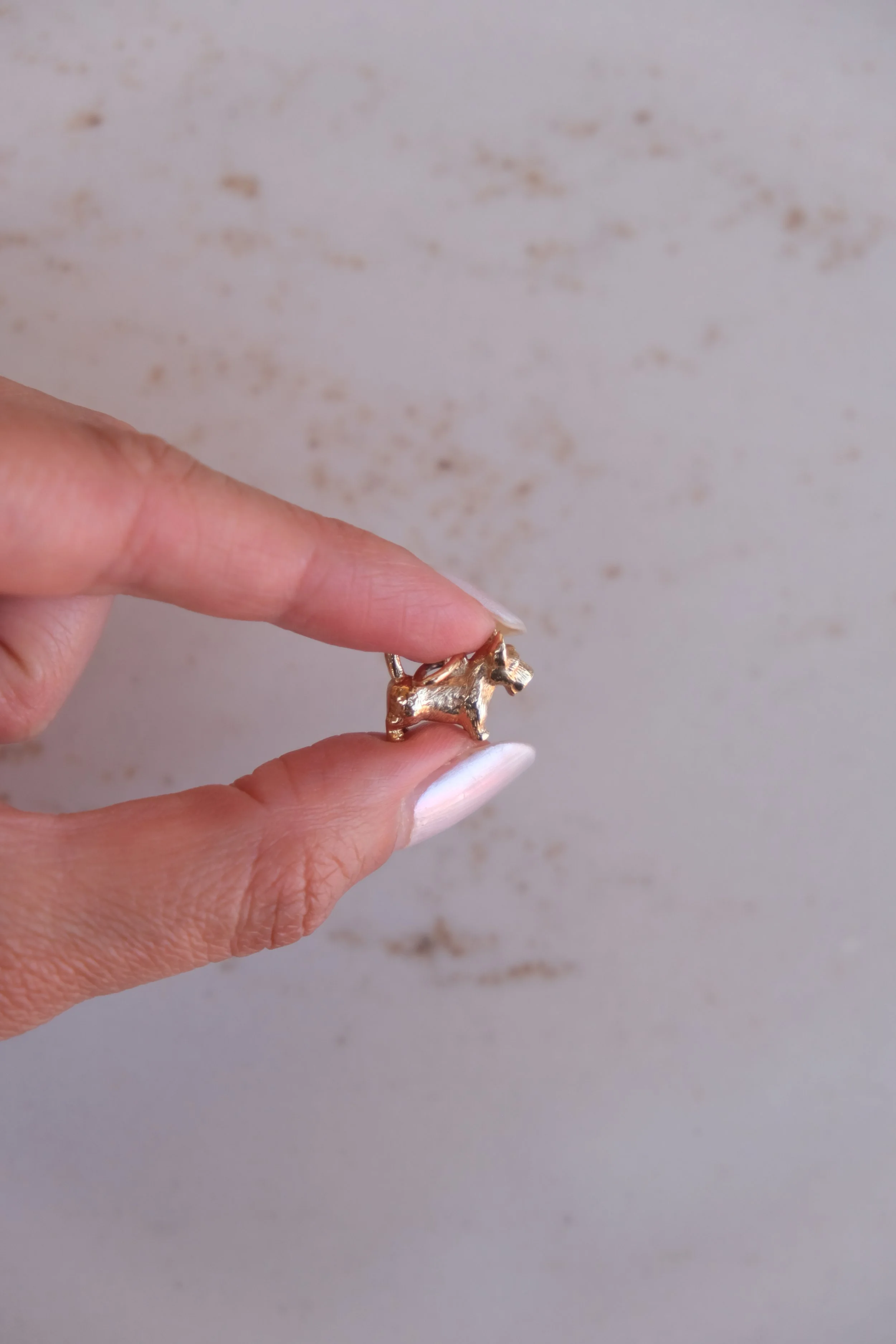 Scottish Terrier Dog Charm