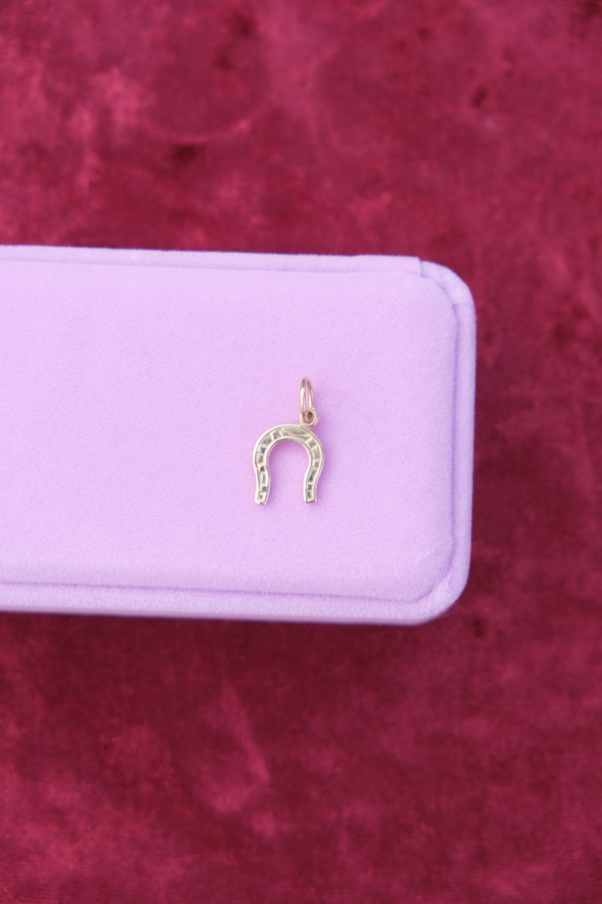 Delta Horseshoe Charm