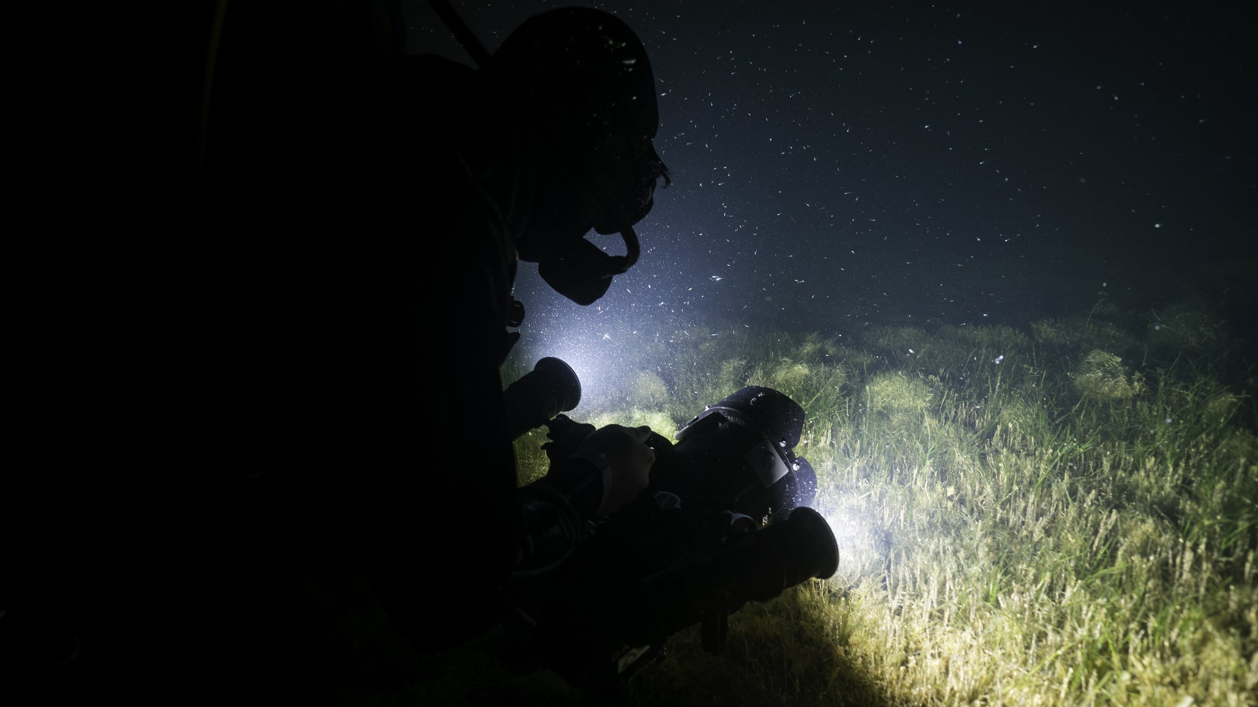 A person using a flashlight at night, with stars visible in the sky and grass illuminated below.