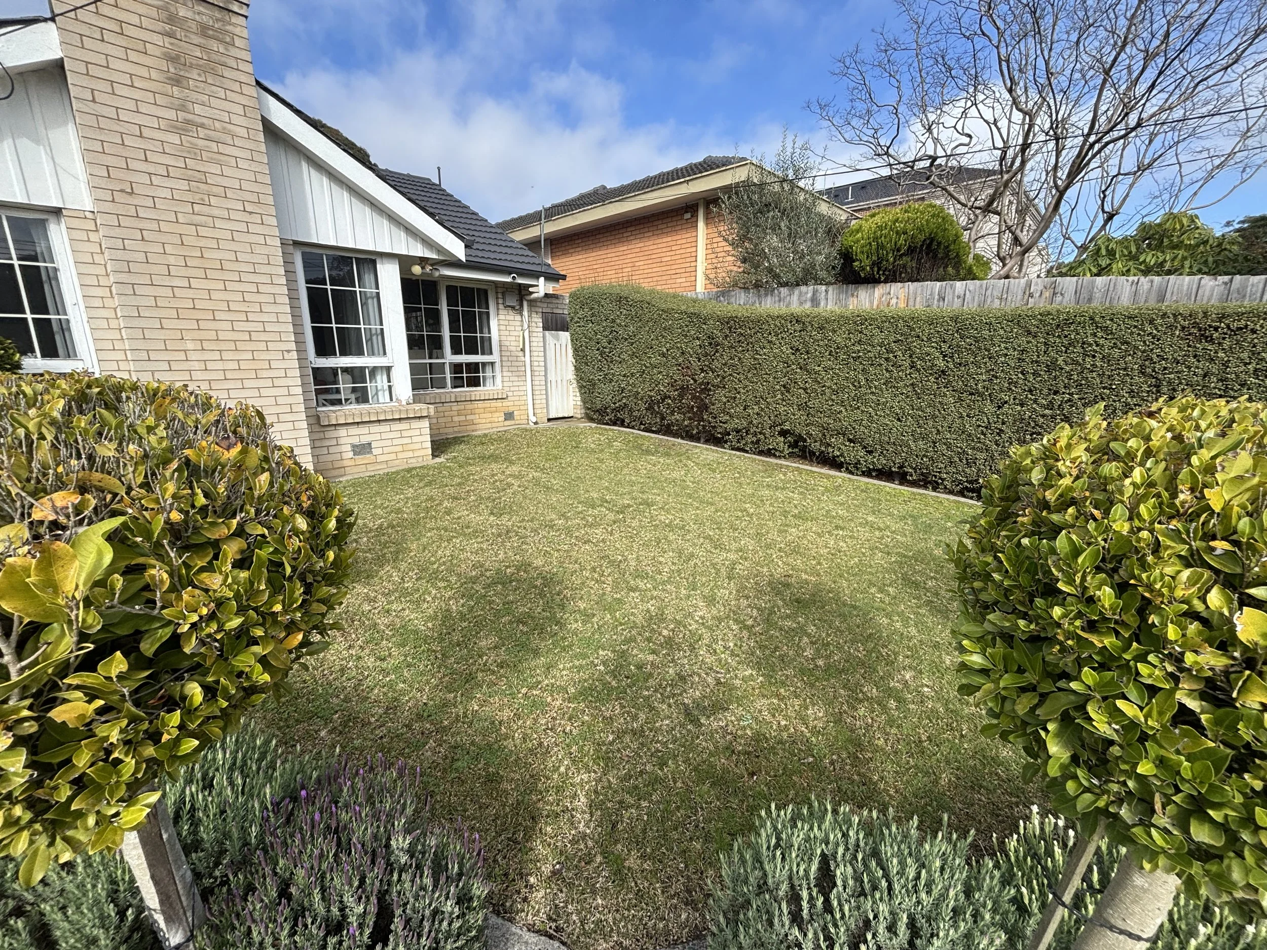 A backyard with a neatly trimmed lawn, bushes, and trees with some snow on the ground. There is a brick house with white-framed windows and a dark roof on the left, and a wooden fence with more greenery and rooftops of neighboring houses in the backg