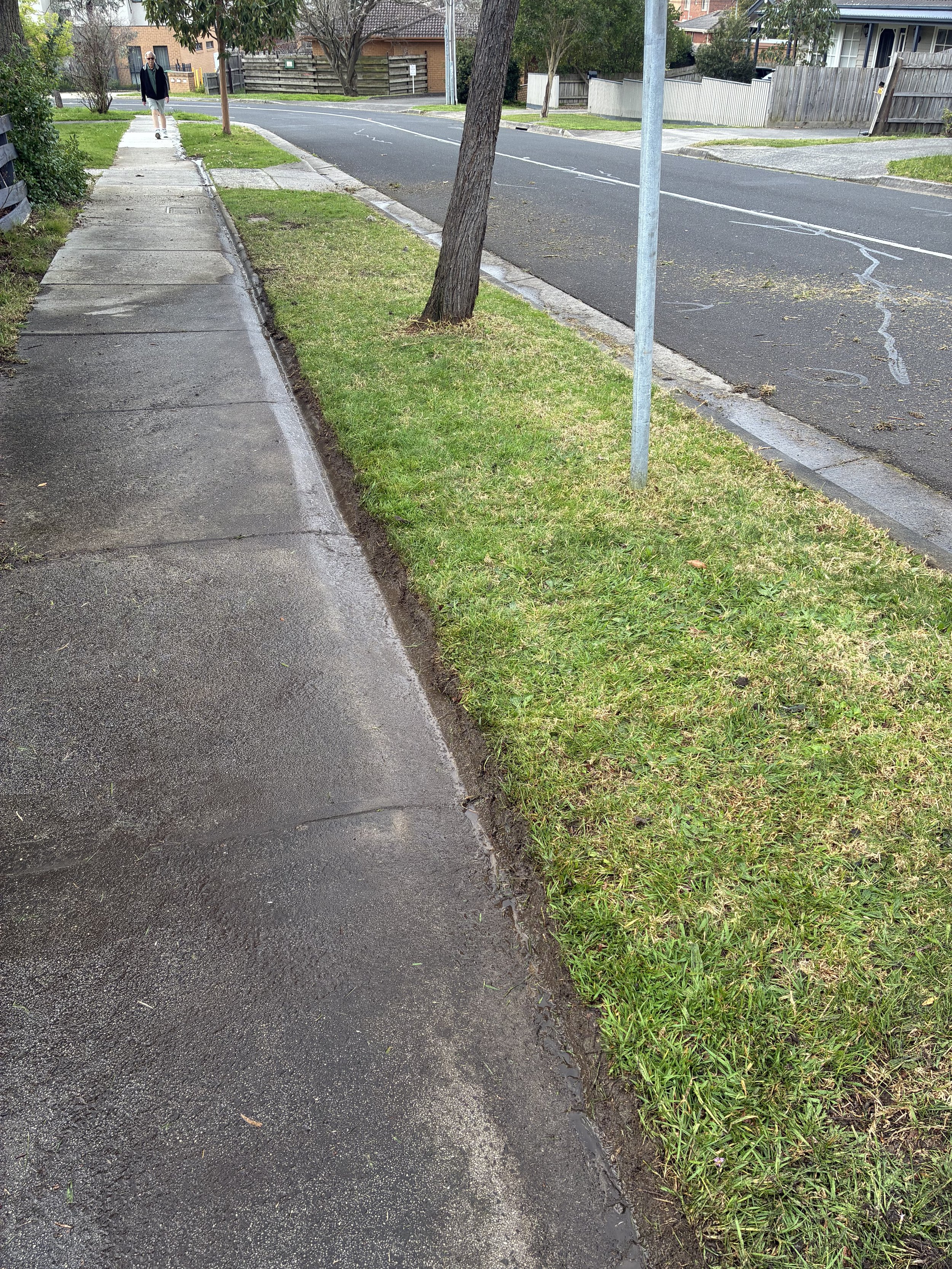 Sidewalk with grass on the right, a tree leaning over the sidewalk, and a street with painted markings in the background. A person is walking on the sidewalk.