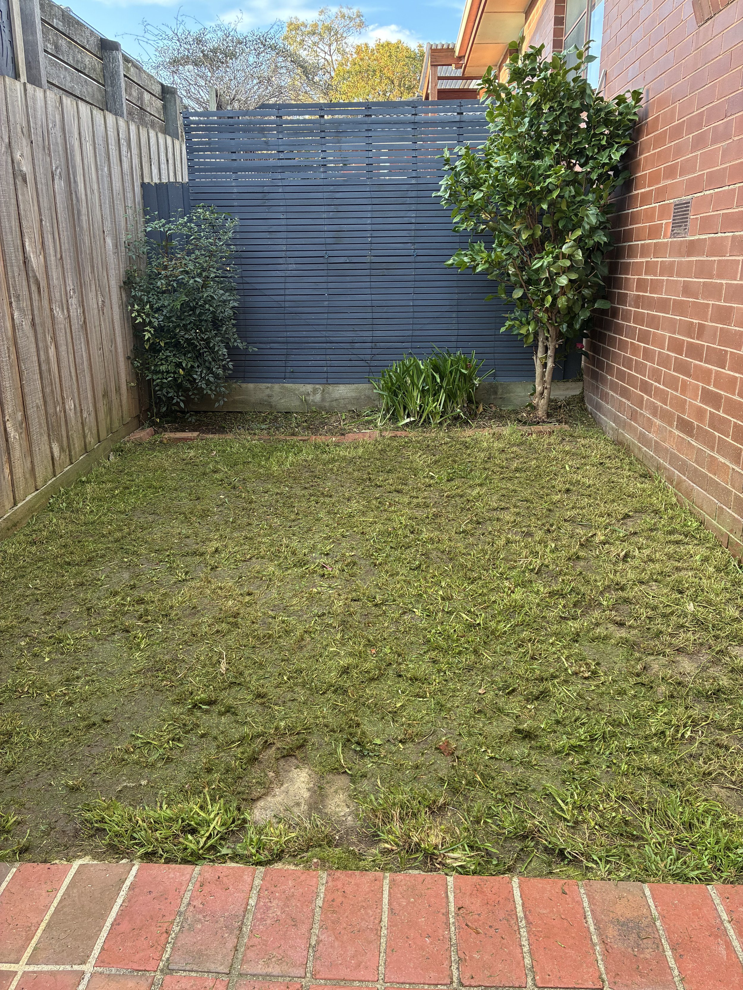 View of a backyard with a brick patio at the front, a grassy patch with some plants, and a tall hedge next to a wooden fence and blue slatted privacy screen. A brick wall is on one side, and trees are visible in the background.