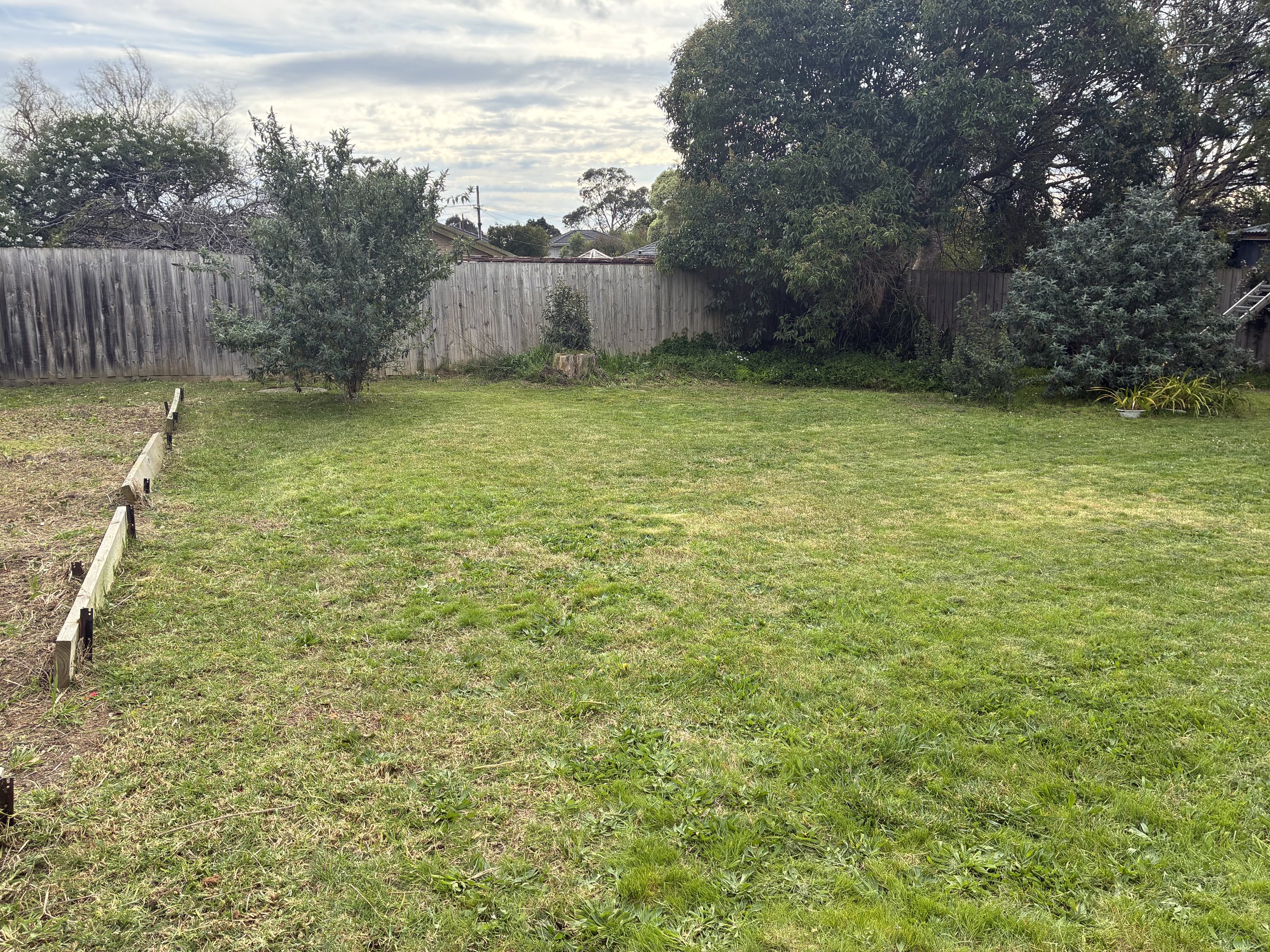 A backyard with a grassy lawn, a wooden fence, several trees, and a small garden bed with border fencing. The sky is partly cloudy.