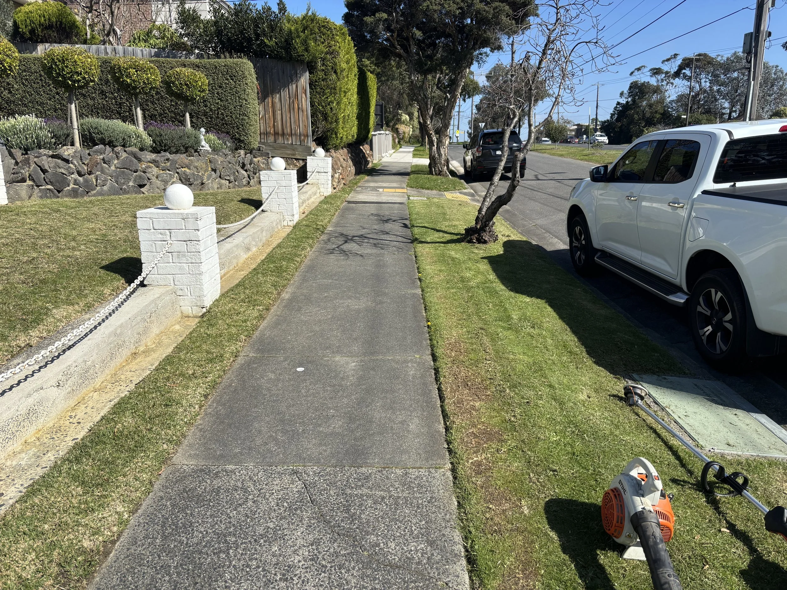 A sidewalk runs alongside a residential street with cars parked on the side. There are trees, bushes, and a stone retaining wall with white posts and rope along the edge of the sidewalk. The sky is blue and clear.