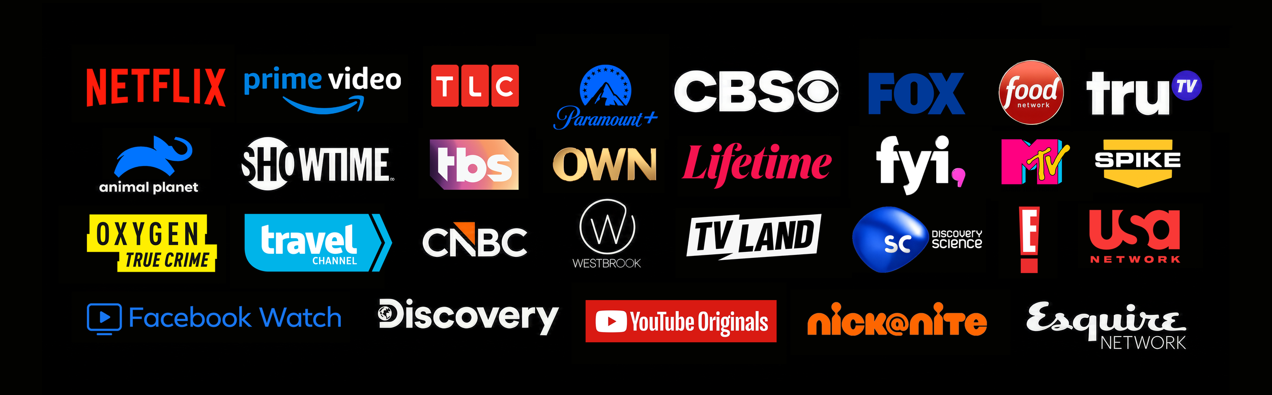 Collection of logos for streaming and TV channels including Netflix, Prime Video, TLC, Paramount+, CBS, Fox, Food Network, truTV, Animal Planet, Showtime, TBS, OWN, Lifetime, Fyi, MTV, Spike, Oxygen, Travel Channel, CNBC, Westbrook, TV Land, Discovery Science, E!, USA Network, Facebook Watch, Discovery, YouTube Originals, Nickelodeon, Esquire Network.