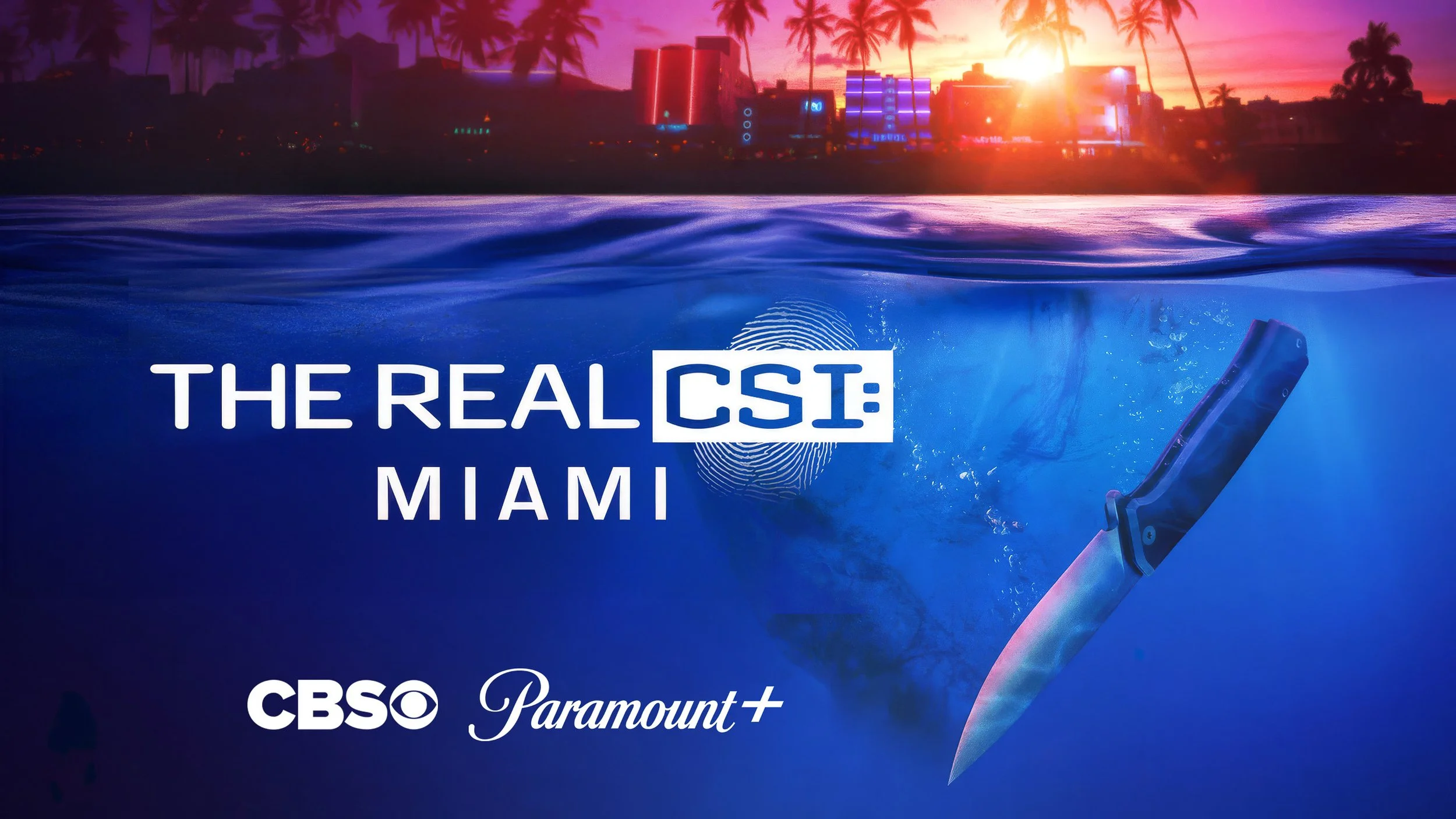 RESIZED_Real_CSI_miami.jpg