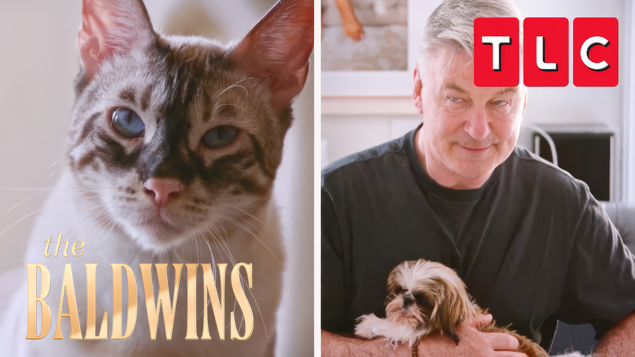 A split image with a close-up of a cat on the left and a man with a dog on the right, with the TLC logo. The left side says "the BABY WINS" in gold text.
