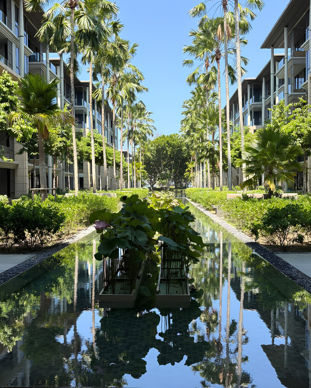 Baan Mai Khao Grounds_4.png