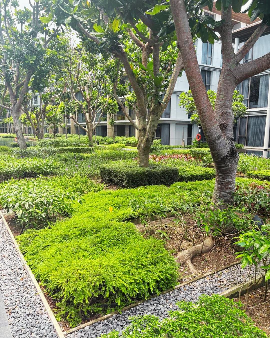 Baan Mai Khao Grounds_6.png