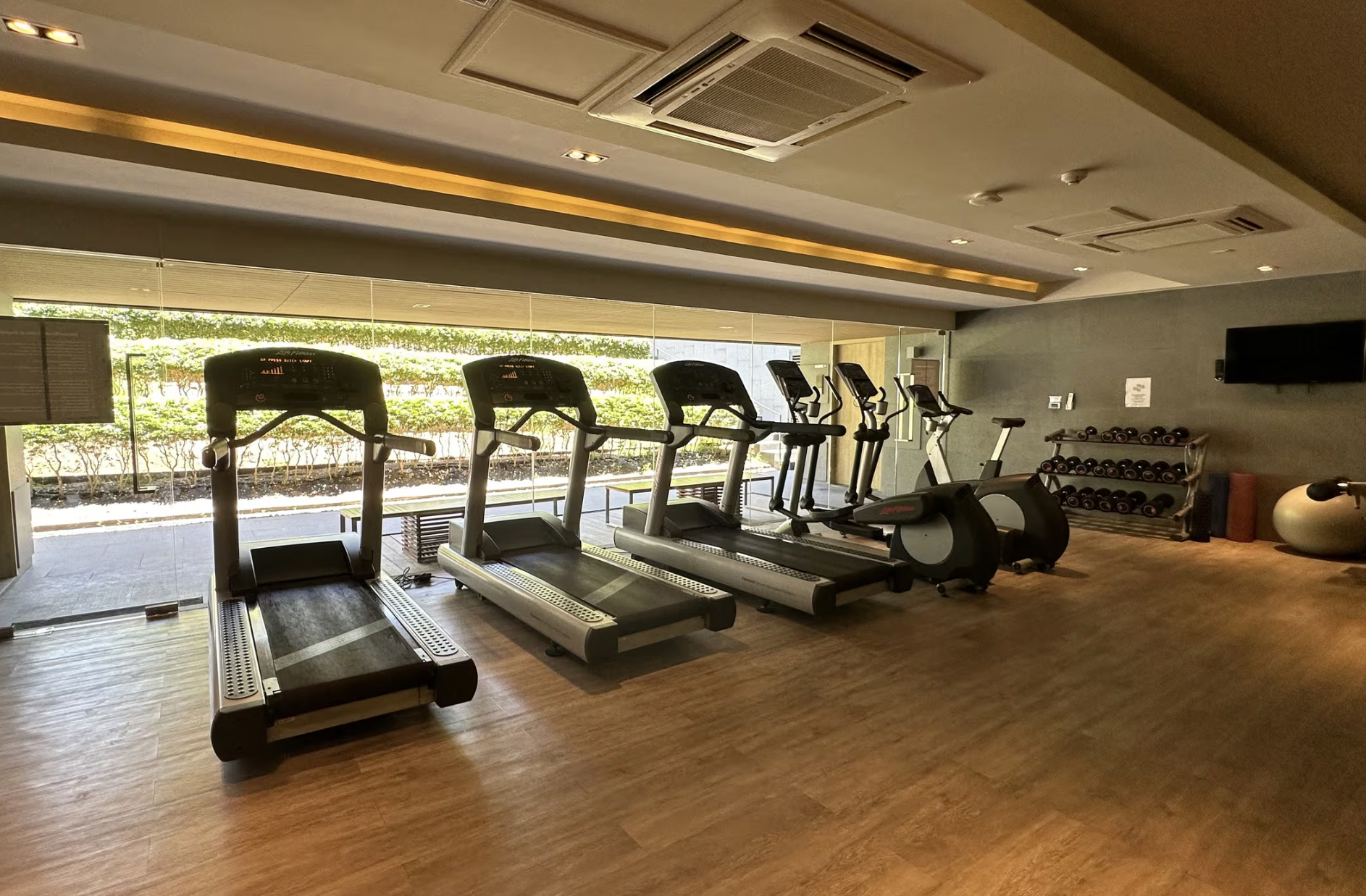 A gym room with five treadmills and two exercise bikes facing a large window with green plants outside. There are dumbbells on a rack and a large exercise ball on the floor. The ceiling has recessed lighting and air conditioning vents.
