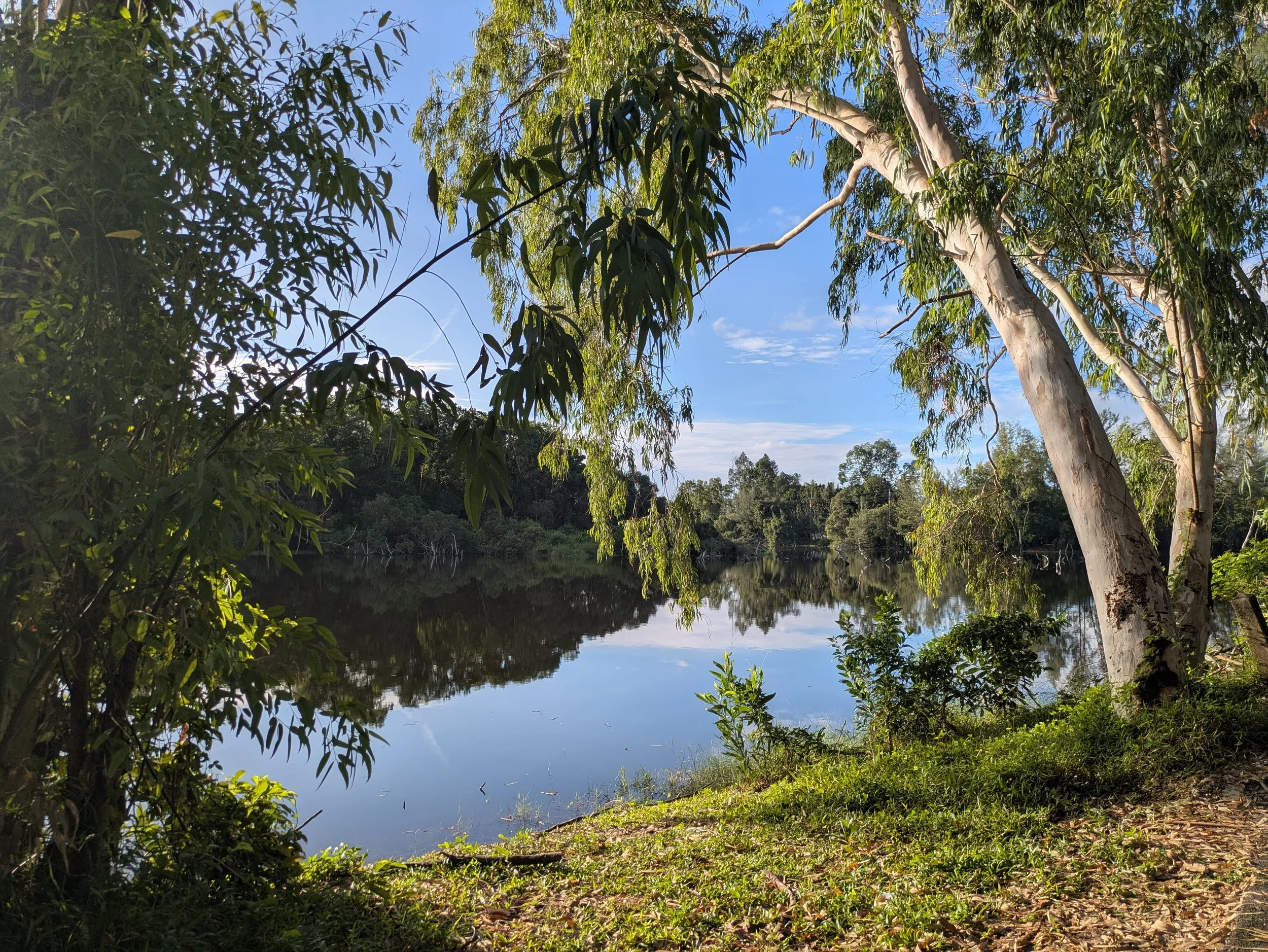 PXL_20251013_003116837.jpg