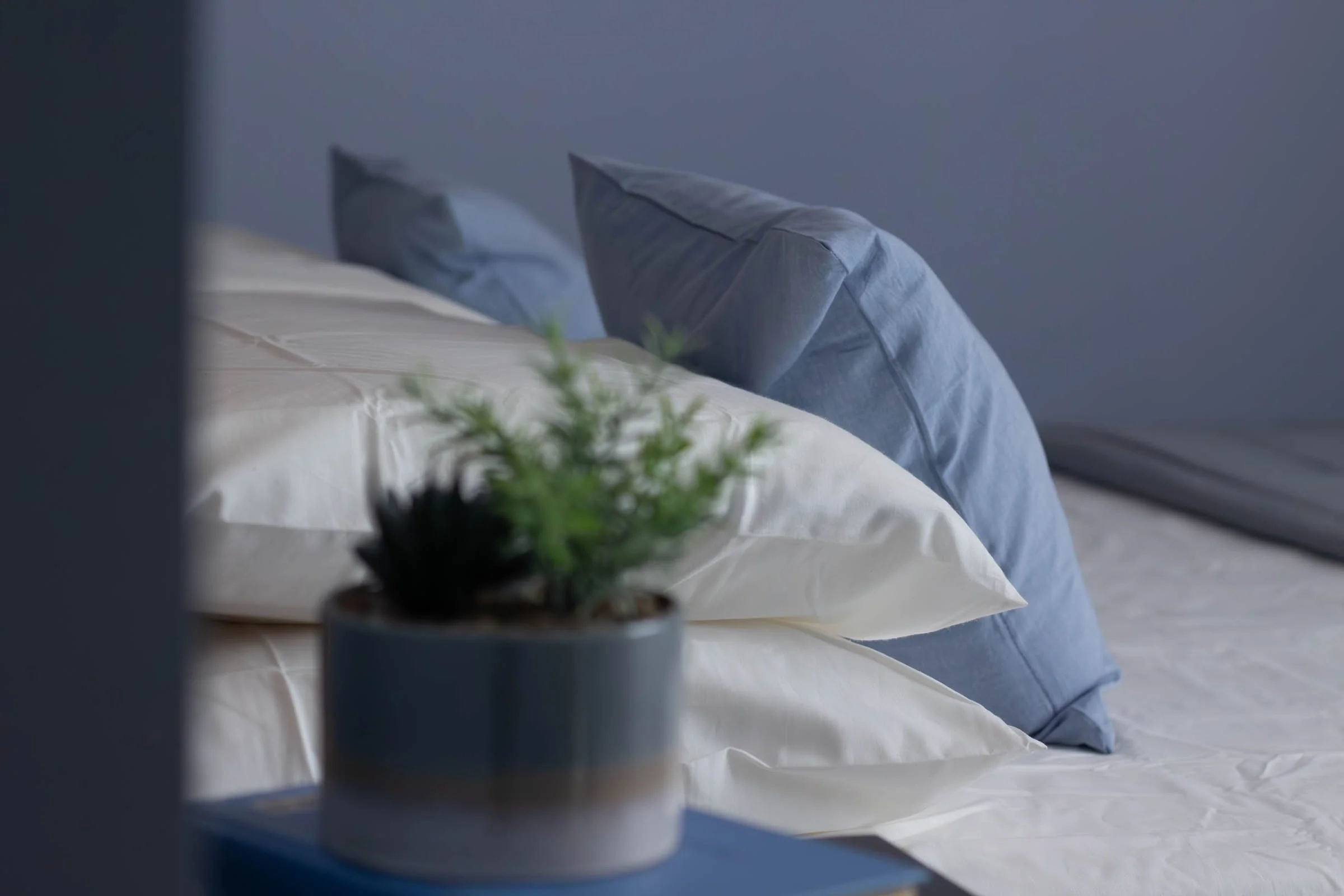 Un letto con cuscini di colore azzurro e una coperta bianca, in una stanza con pareti grigie, parzialmente visibile una pianta in primo piano.