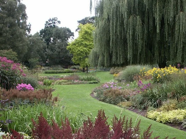 A colorful garden with a winding green grass pathway, surrounded by various flowering plants and trees, including a large weeping willow tree to the right.