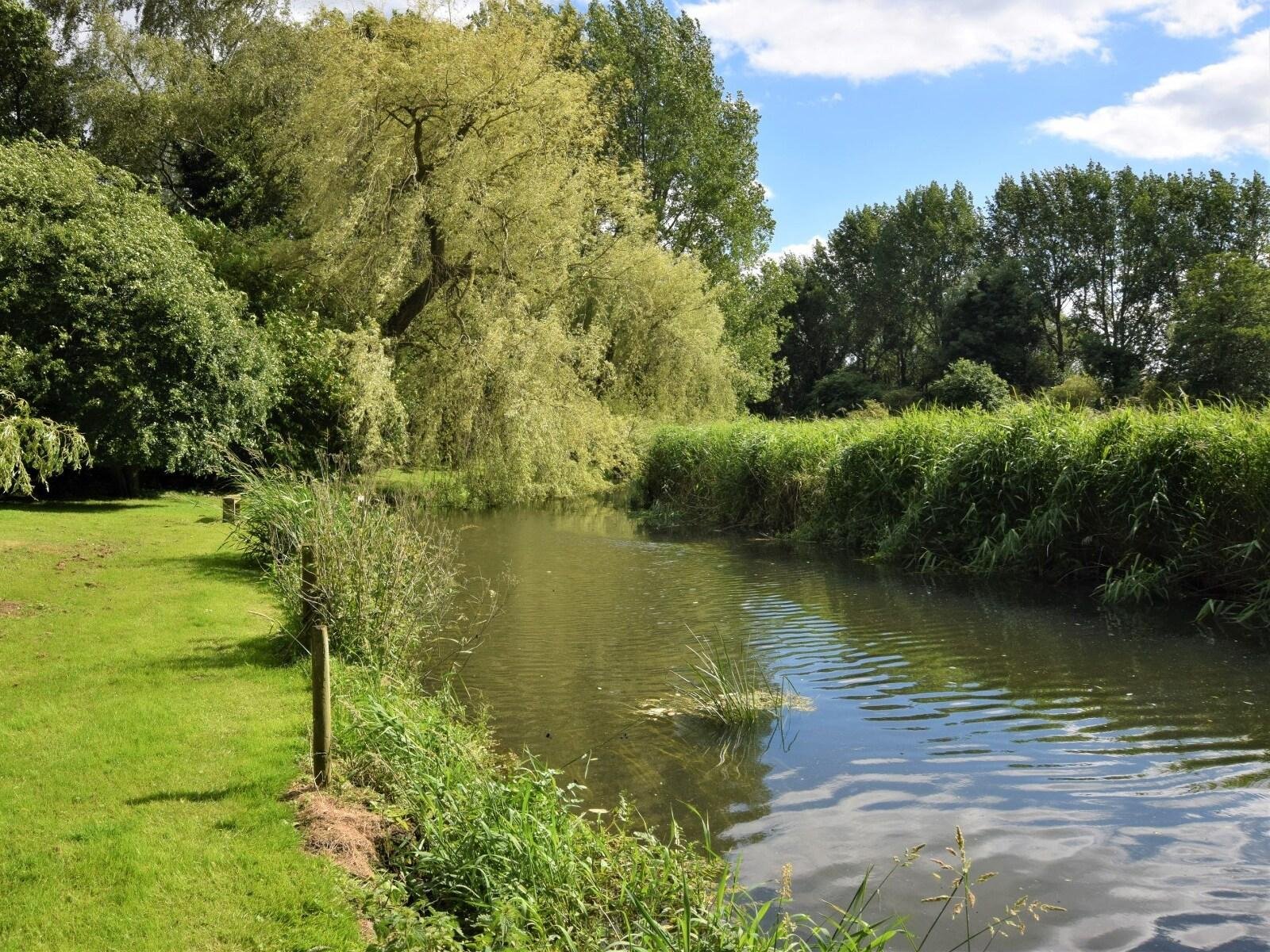 A peaceful river scene with green grass and trees on the left, and tall grass on the right side of the river under a partly cloudy sky.