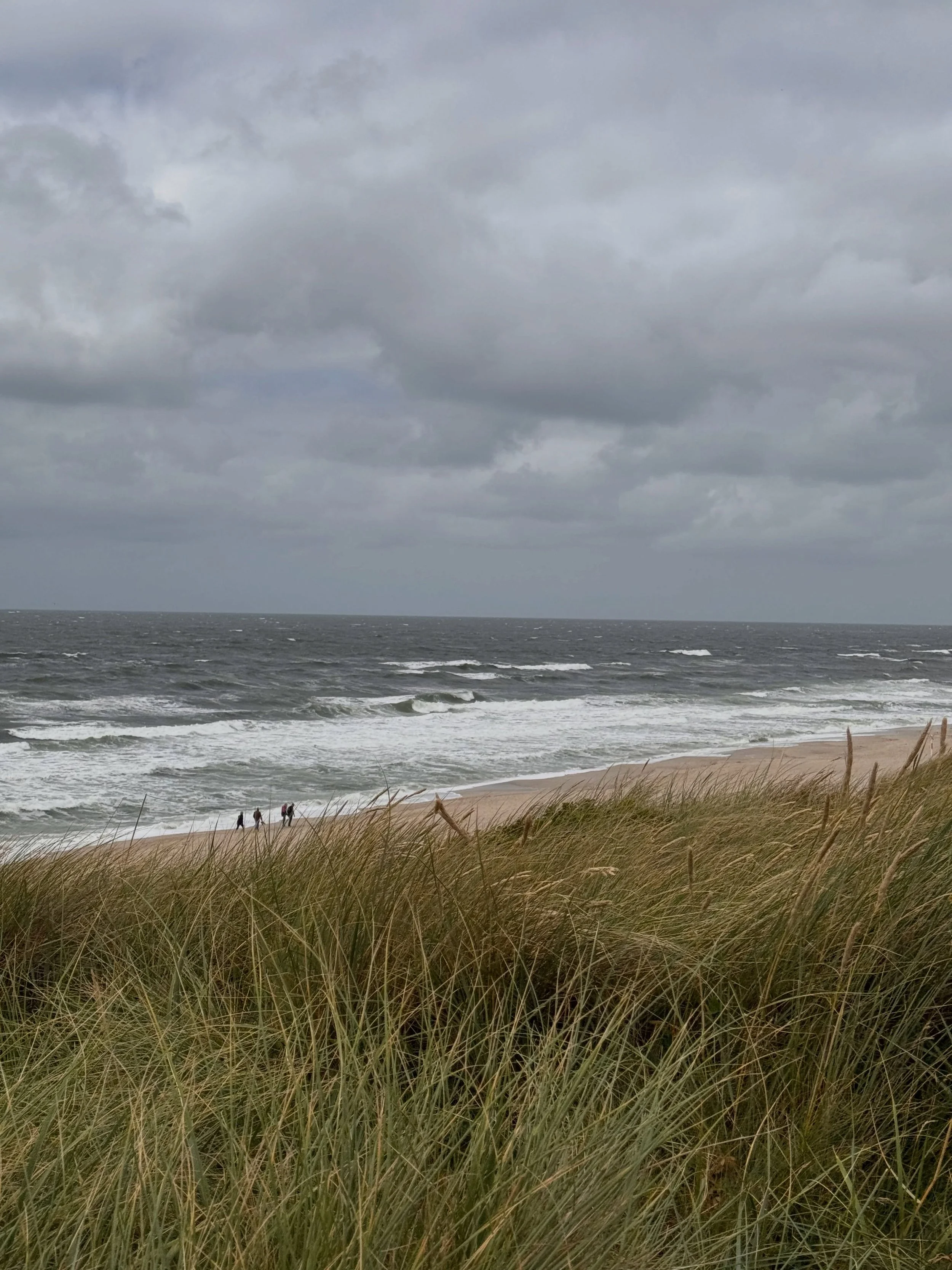Manchmal braucht es gar keinen blauen Himmel. 🌫️ Manchmal reicht der Wind, der durch das D&uuml;nengras streicht 🌾, das Rauschen der aufgew&uuml;hlten Nordsee 🌊 und dieser Blick, der irgendwo zwischen Himmel und Meer verloren geht. 🤍
Dann sp&uuml
