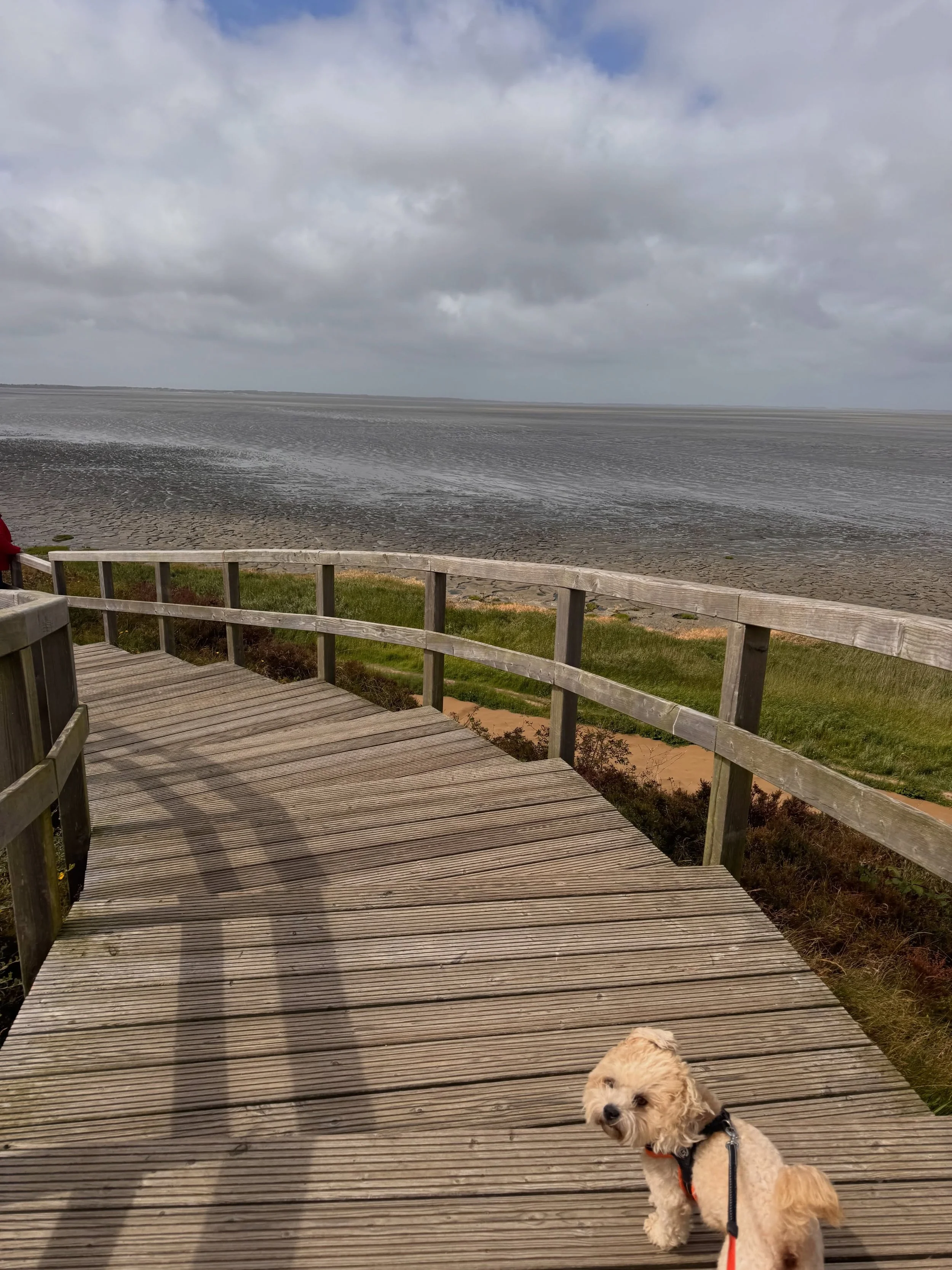 🌊🍂 Sylt im Herbst &ndash; wild, st&uuml;rmisch und wundersch&ouml;n. 🤍
Graue Wolken ziehen &uuml;ber die Insel, hohe Wellen rollen ans Ufer und der Wind wirbelt Tibou ordentlich durchs Fell. 🐾🌬️ Genau so zeigt sich unsere geliebte Nordsee im Her