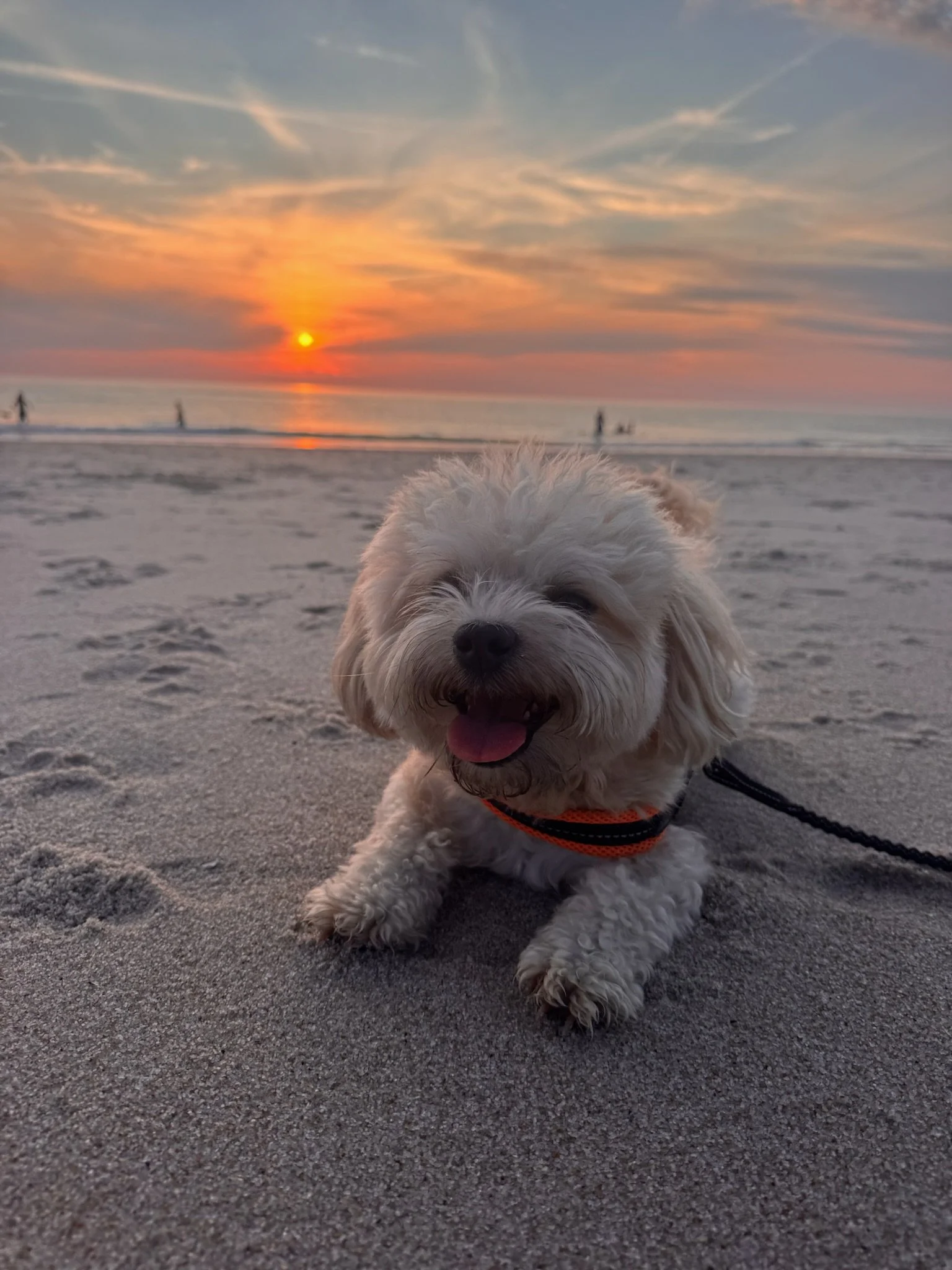 SYLT-GEFÜHL