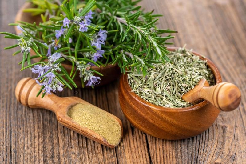 Rosemary leaf is the part of this herb used for its medicinal properties. The leaves are linear and needle-like and are sessile and arranged oppositely along the stem. They are dark green on top and a lighter whitish green on the underside of the lea
