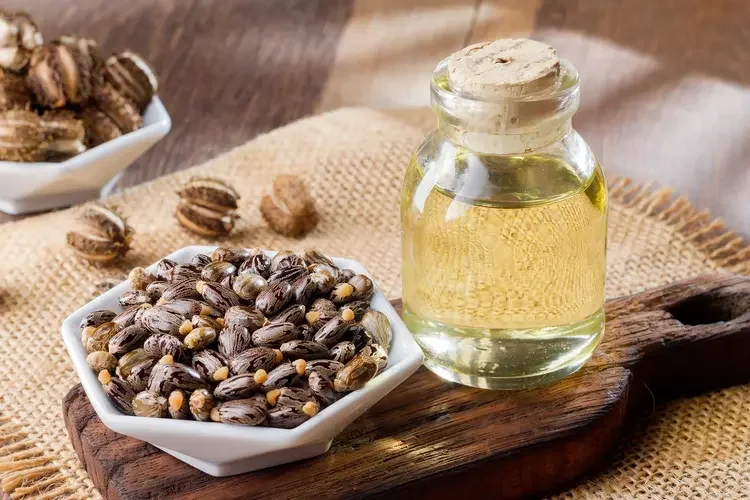 Castor Oil: 
Thick and glossy, castor oil creates a protective, cushiony feel on the skin. It adds richness and shine, making it especially lovely in lip and cheek balms.
