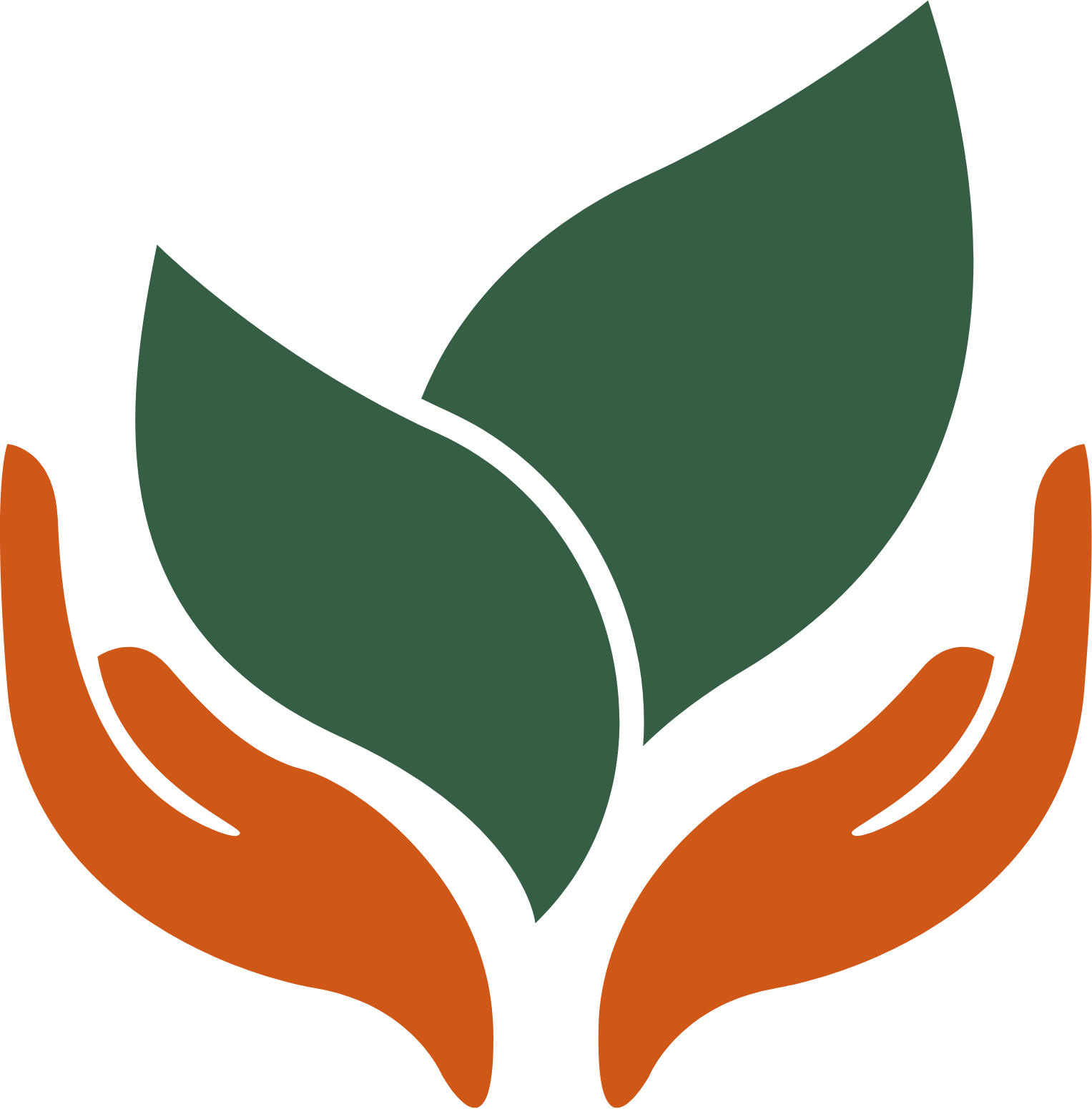 Illustration of hands holding a green sprouting plant.