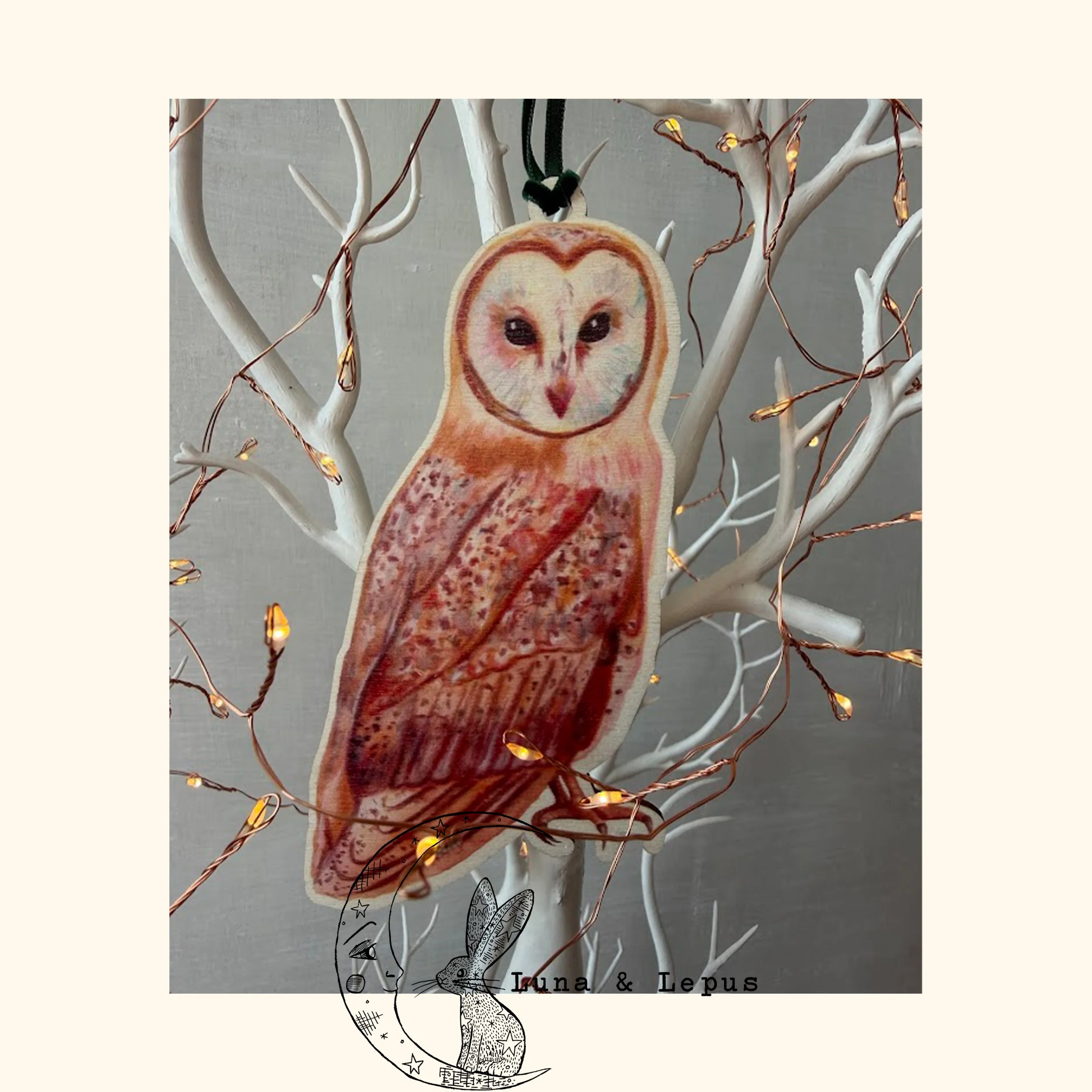 Barn Owl Etsy Luna & Lepus 6 2026.jpg