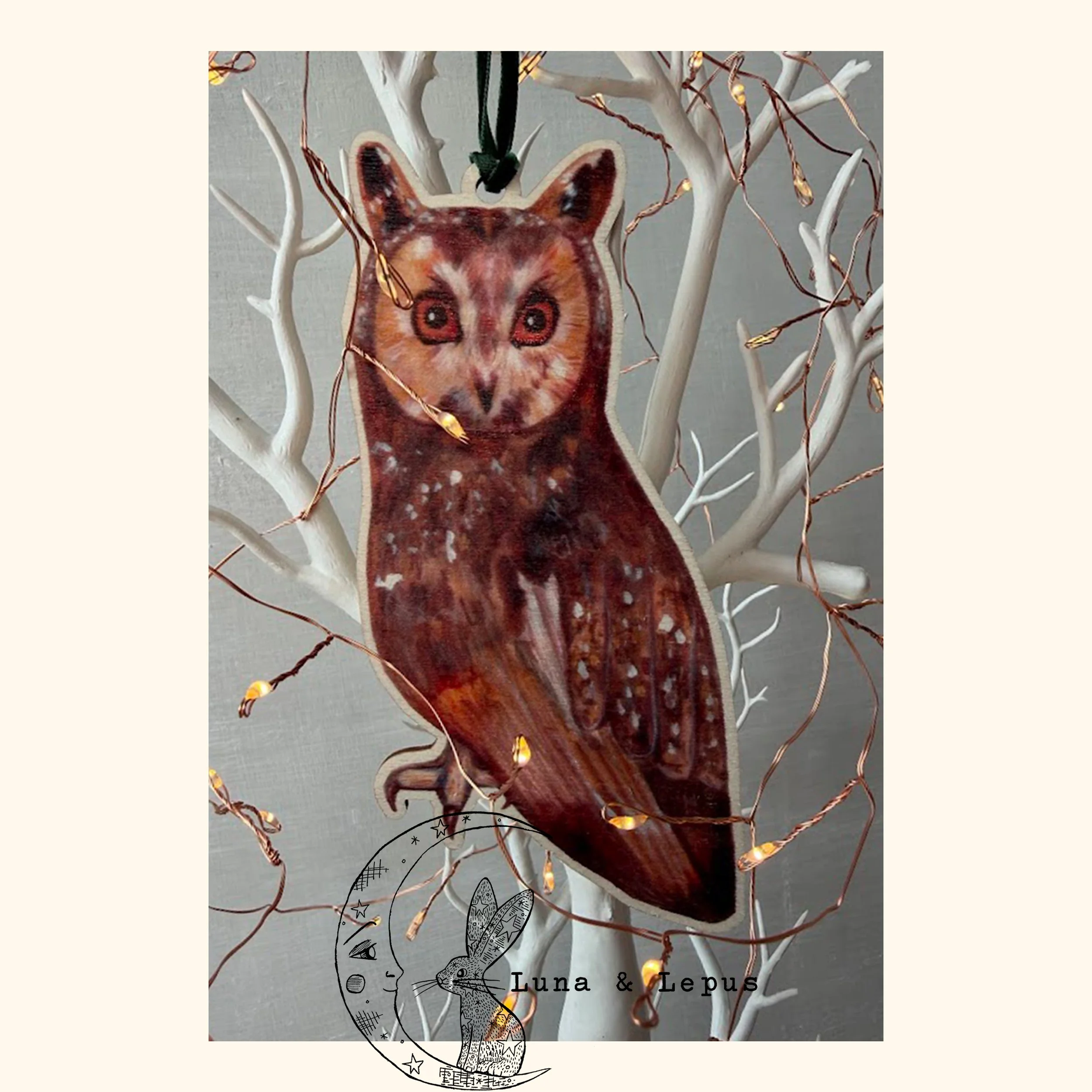 Long Eared Owl Etsy Luna and Lepus 4 2026.jpg