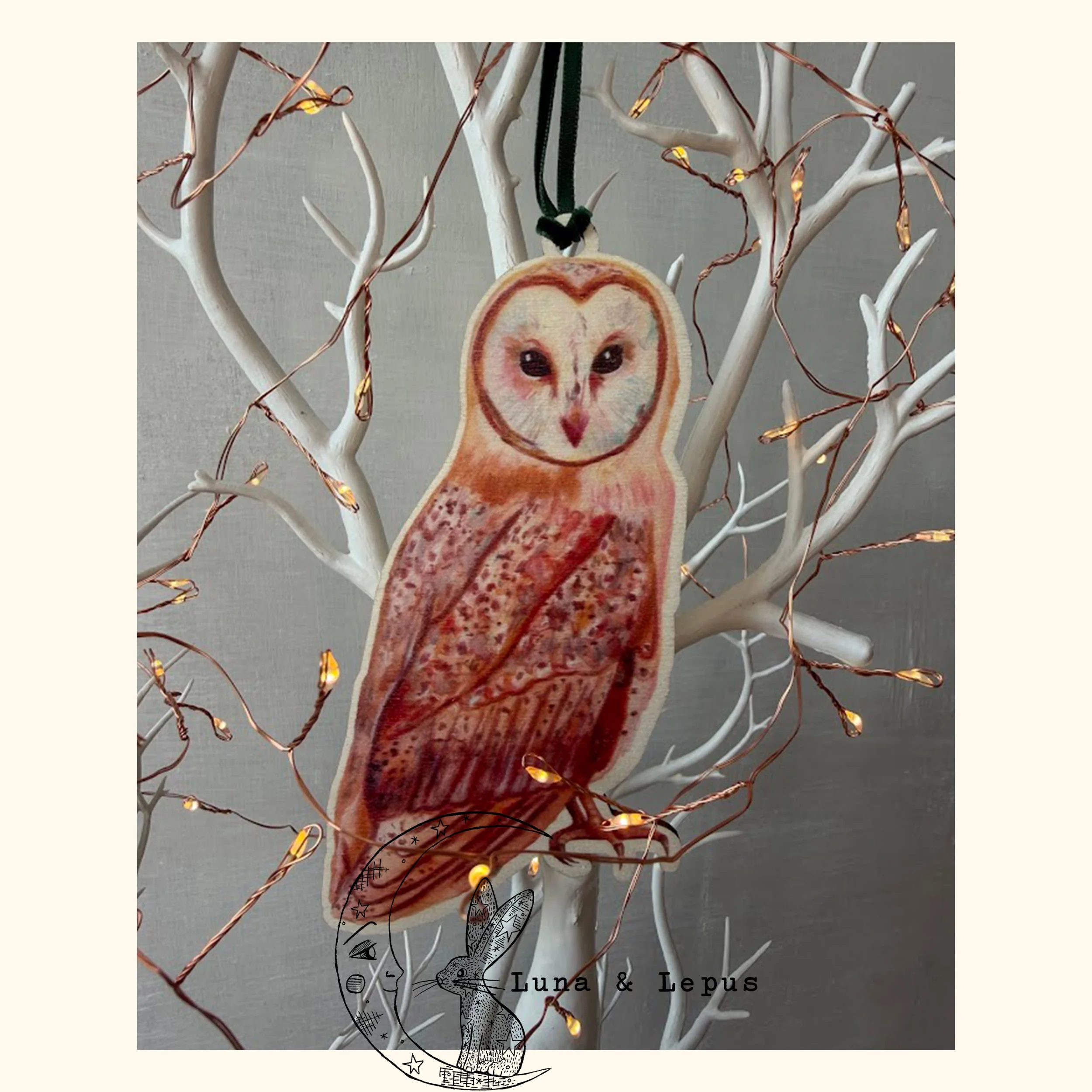 Barn Owl Etsy Luna & Lepus 2 2026.jpg