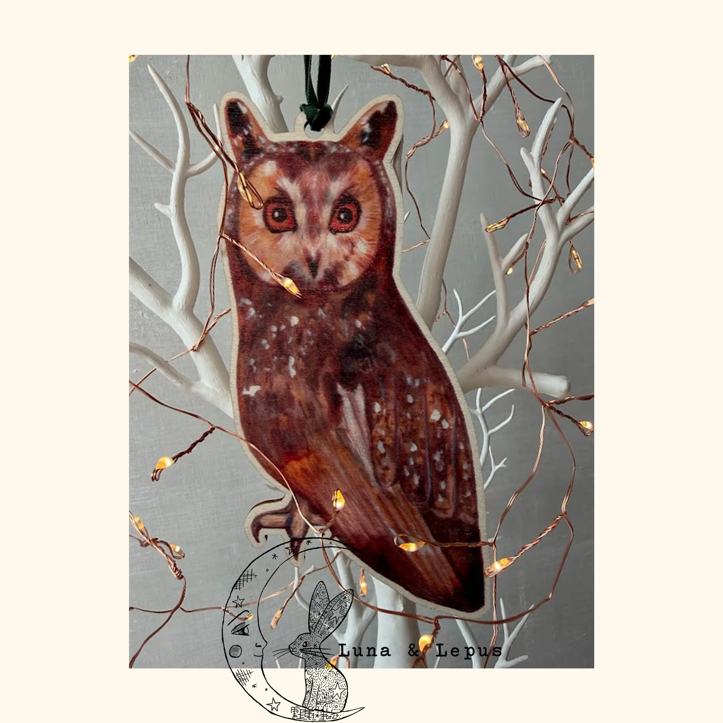 Long Eared Owl Etsy Luna and Lepus 3 2026.jpg