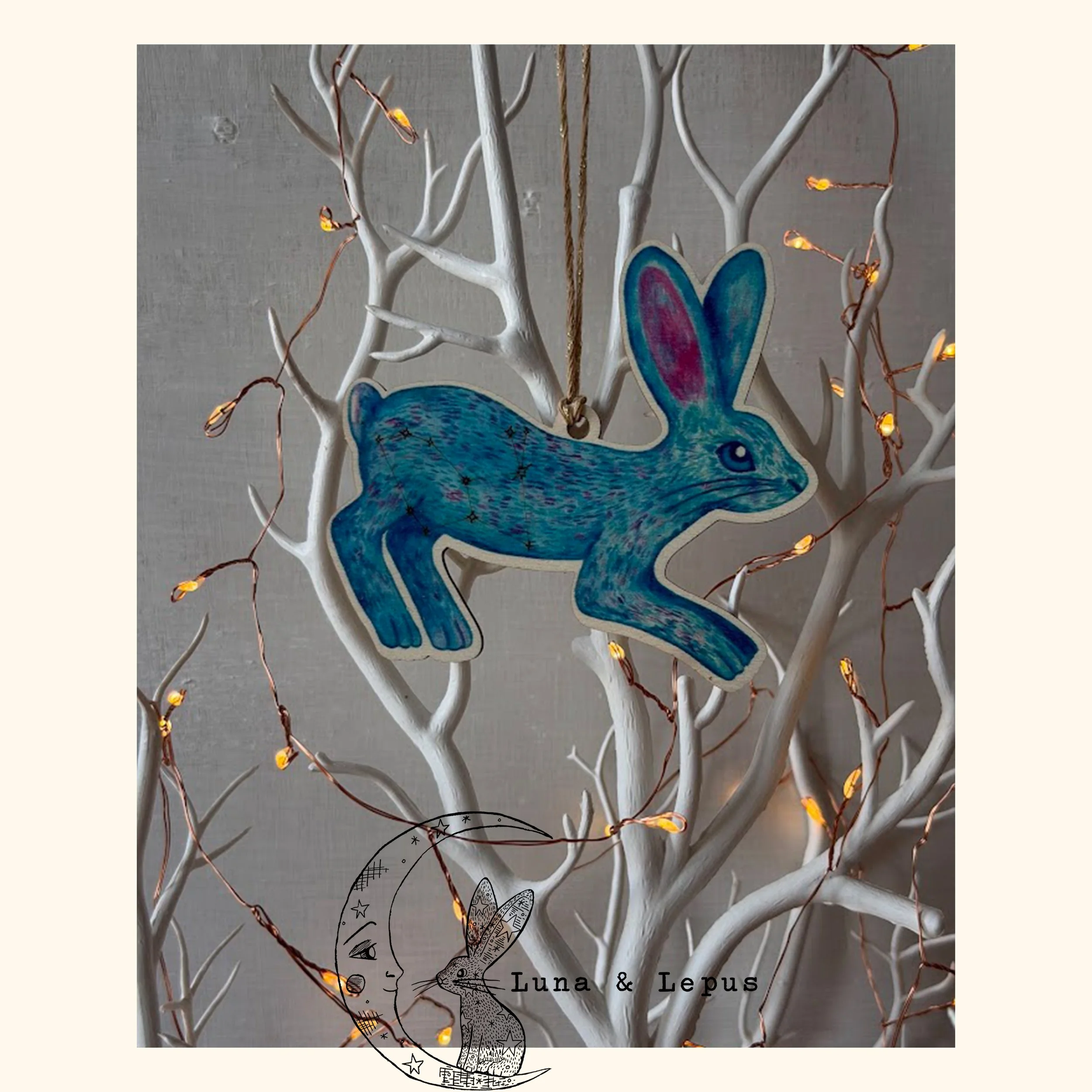 5 Lepus Product Photos 2026.jpg