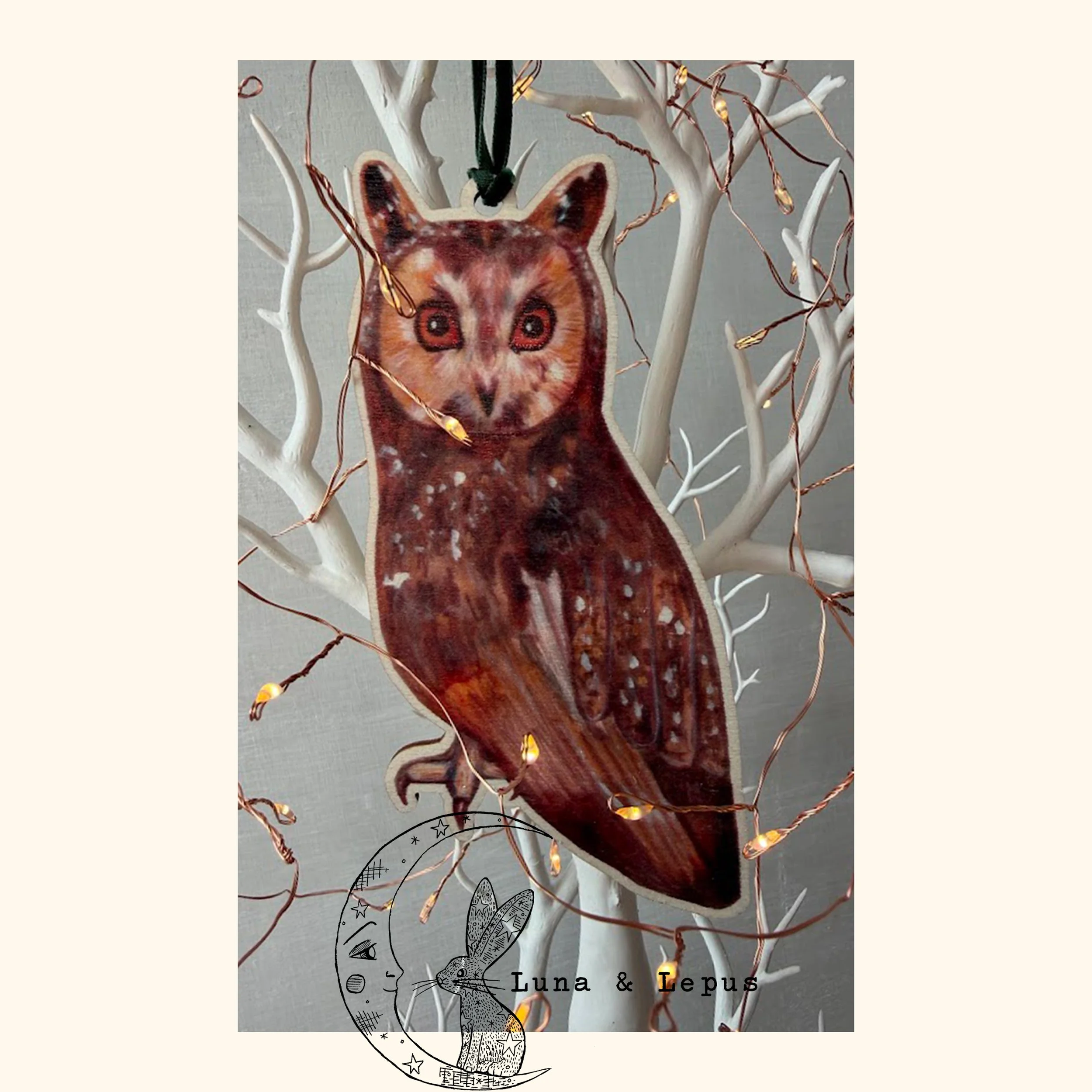 Long Eared Owl Etsy Luna and Lepus 2 2026.jpg