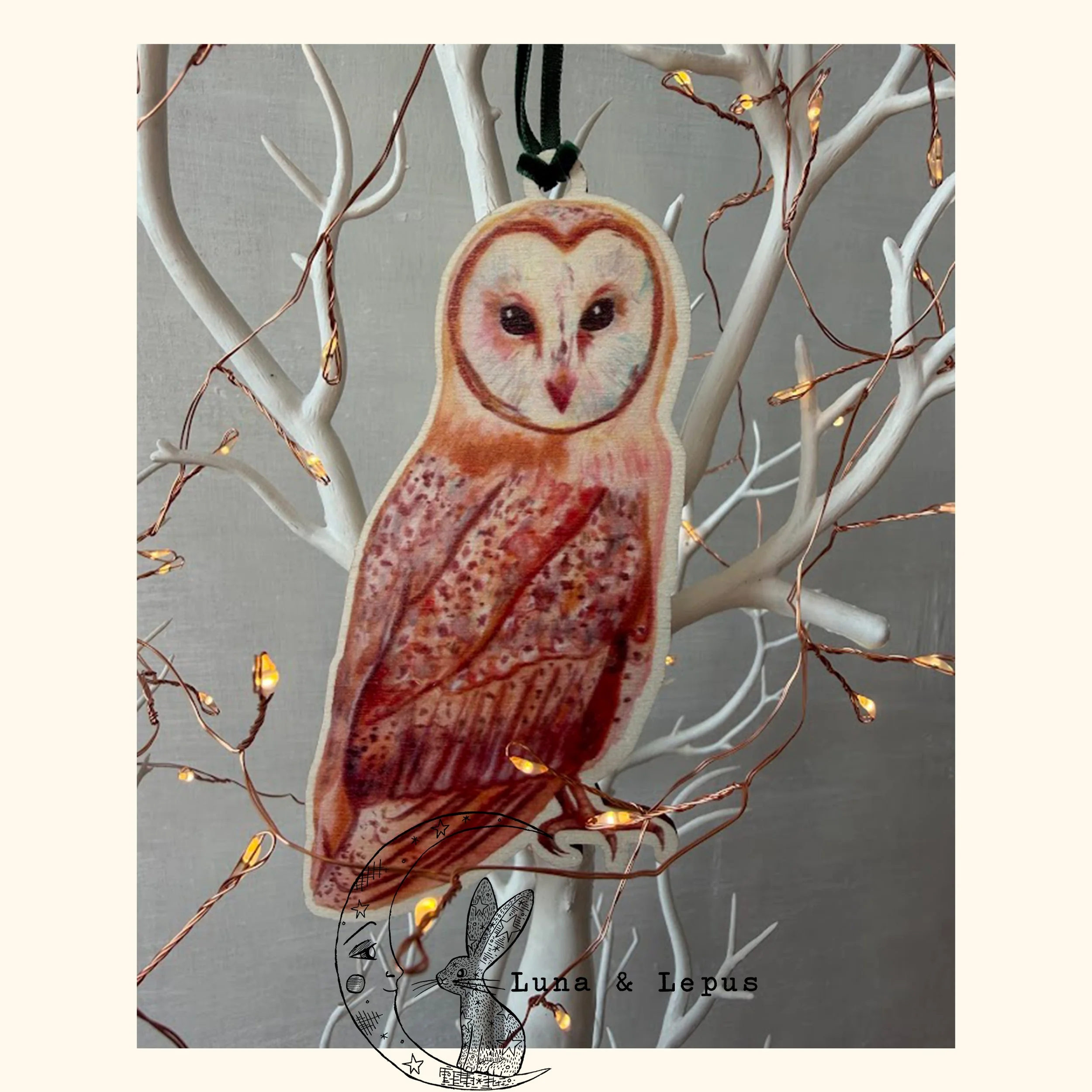 Barn Owl Etsy Luna & Lepus 3 2026.jpg