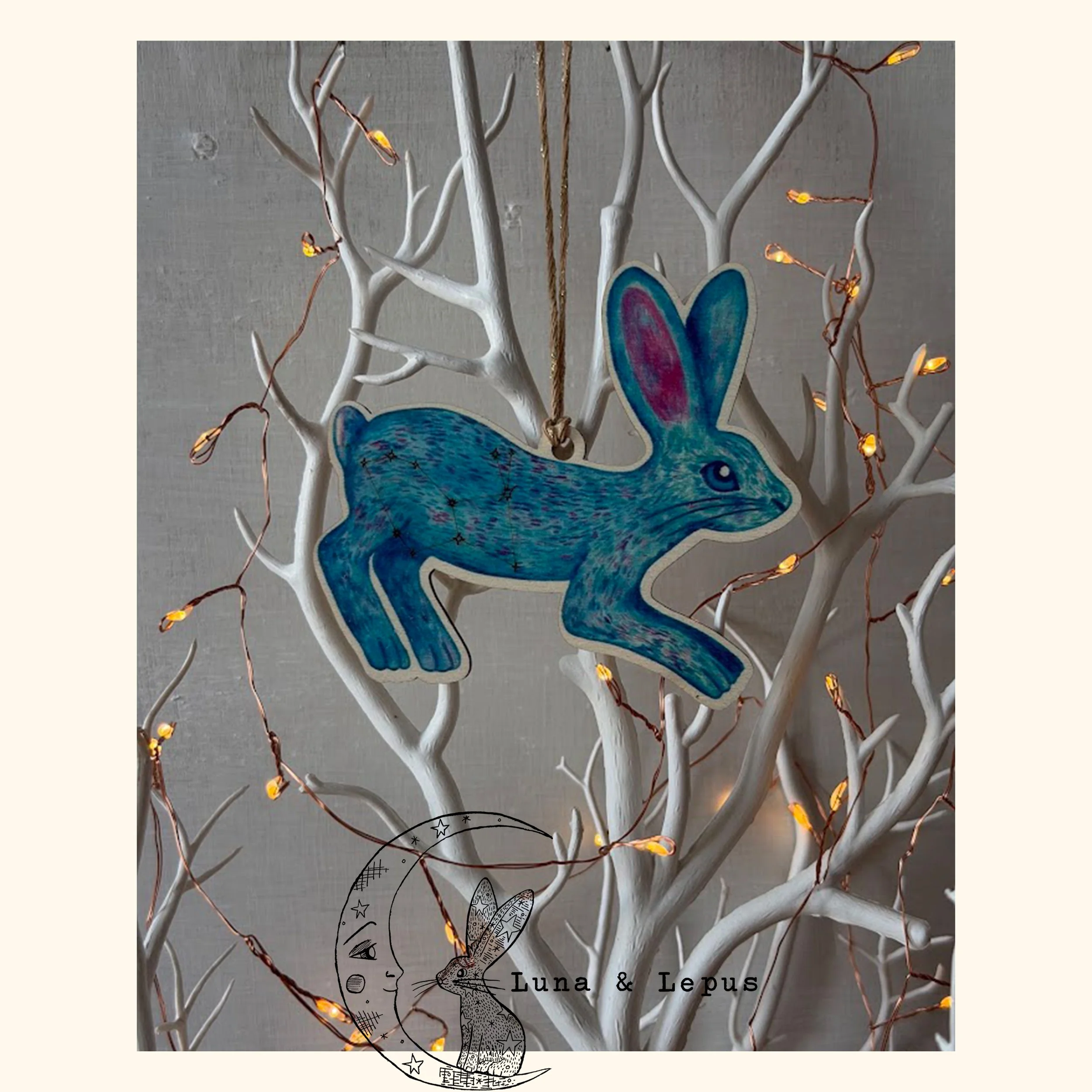 3 Lepus Product Photos 2026.jpg