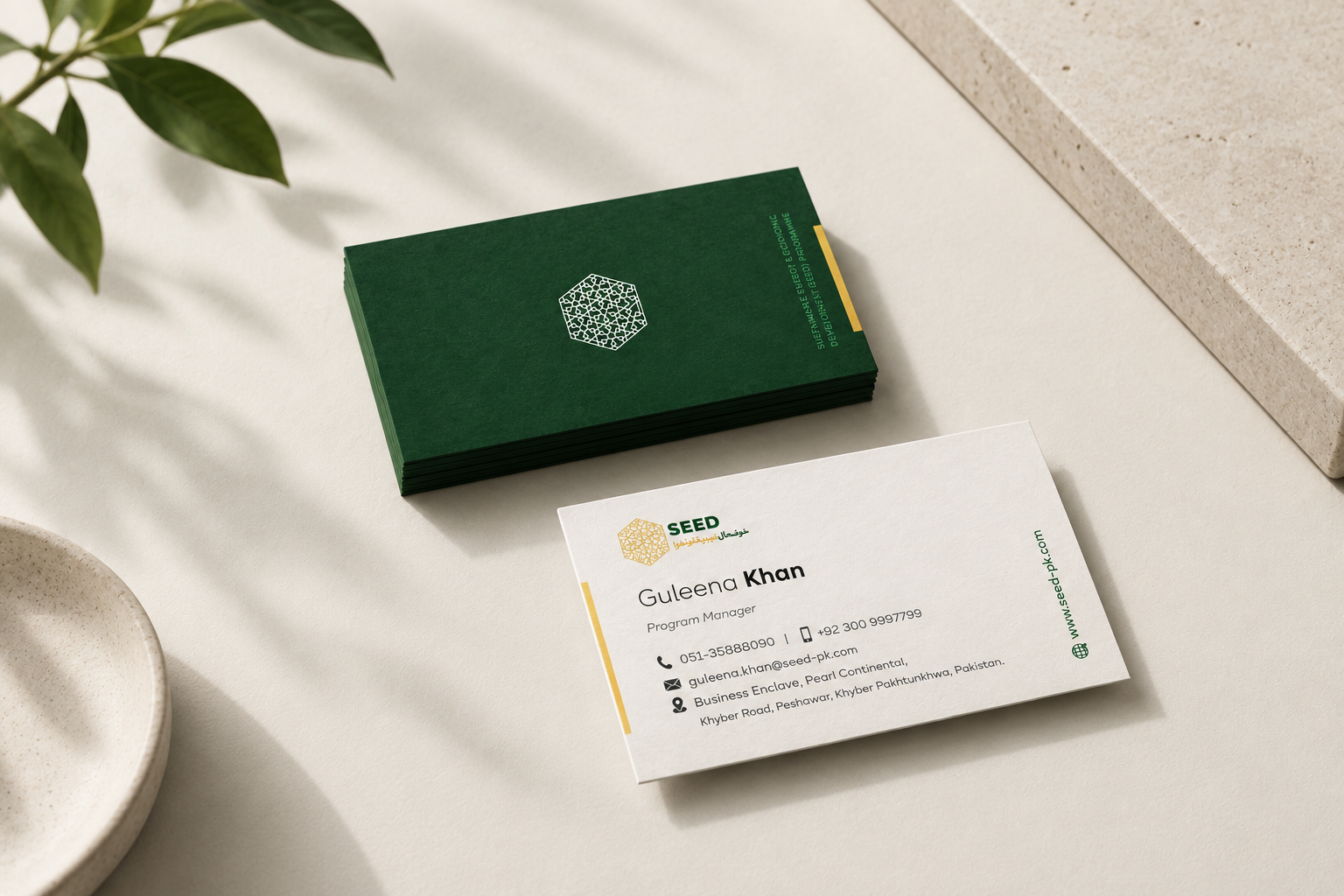 seed-card-1.png