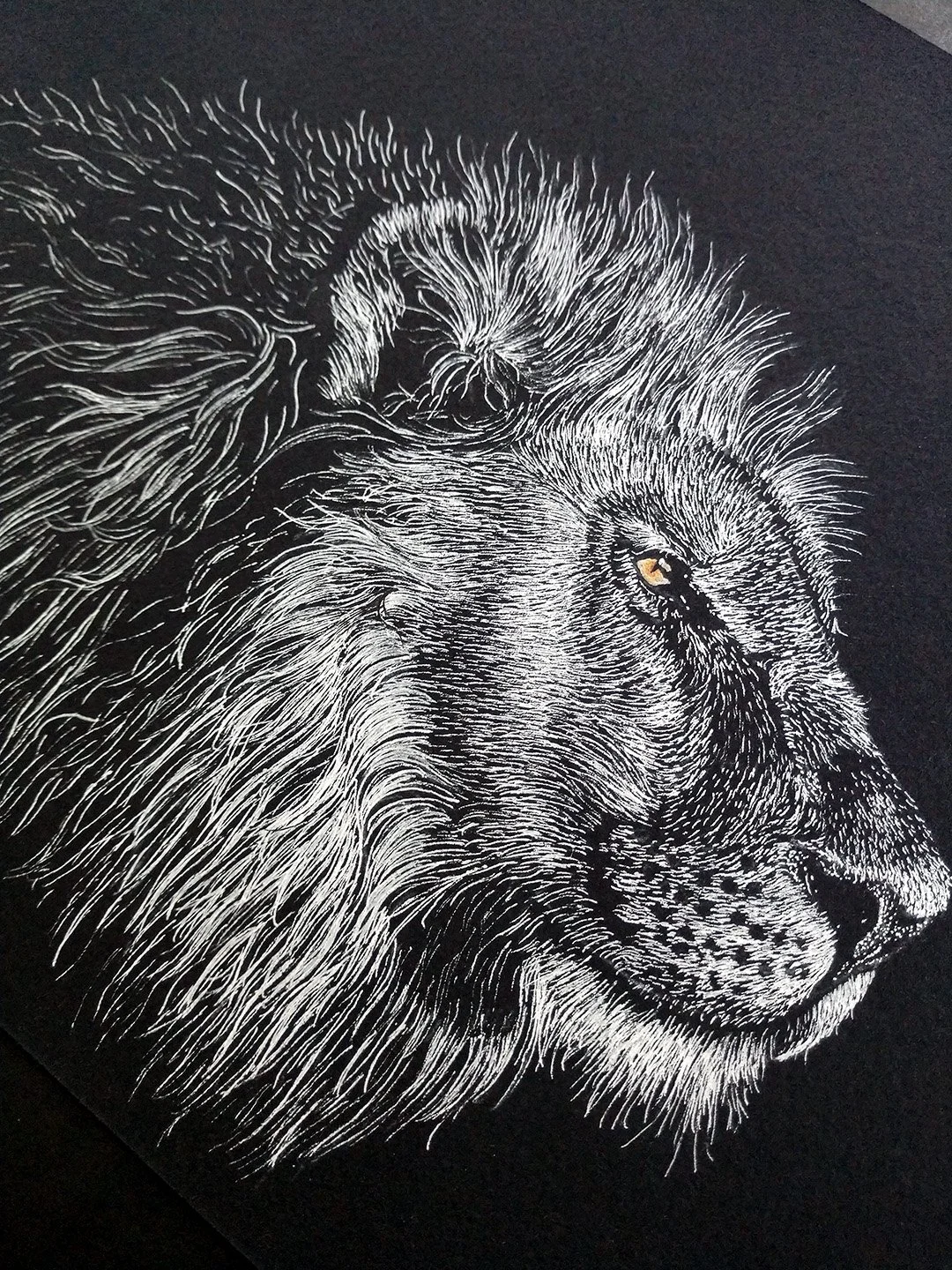 Detailed black and white illustration of a lion's face with a focus on the mane and expressive eye.