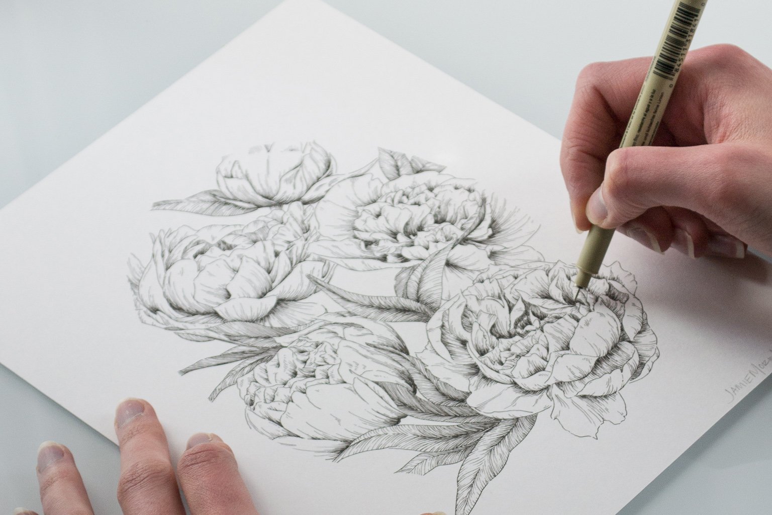 Person drawing a detailed floral design of peonies and leaves on white paper with a fine-tipped pen.