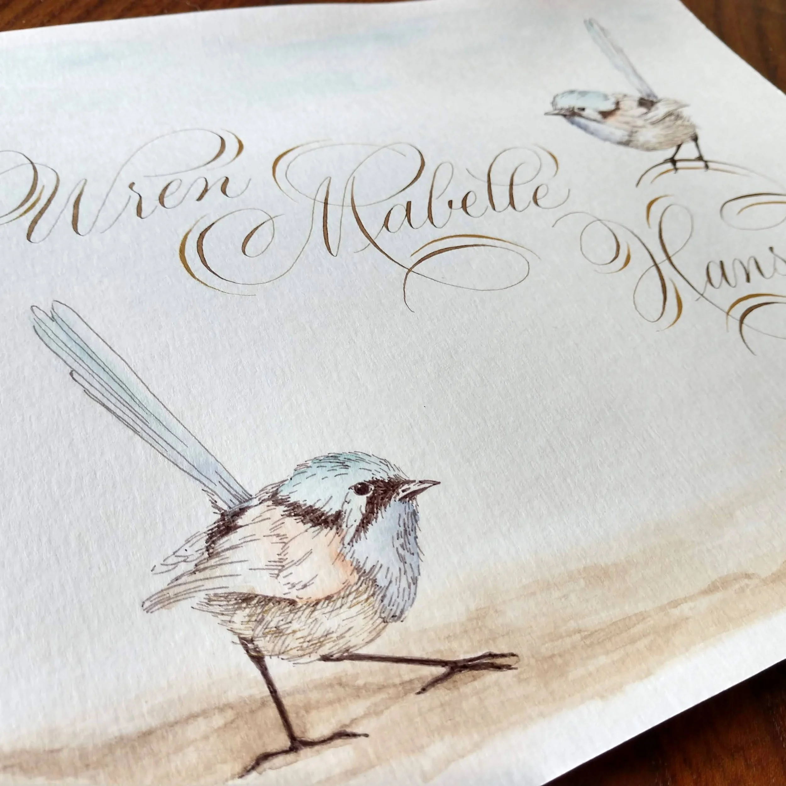 A detailed watercolor illustration of a sparrow, showing its small size, brown and gray feathers, and distinctive markings on its wings and head, positioned on a white surface with handwritten cursive text.