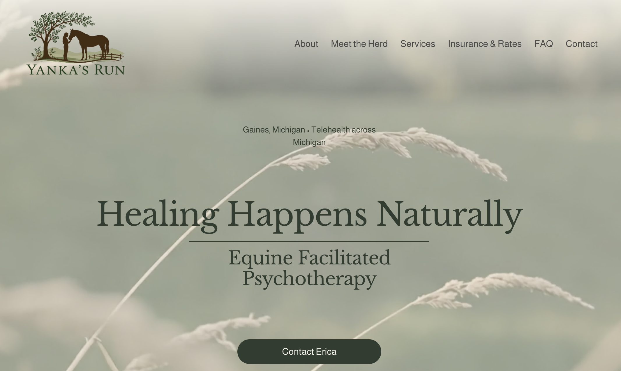 Website homepage for Yanka's Run, a business offering equine facilitated psychotherapy in Gaines, Michigan, with a logo of a girl and horse under a tree.