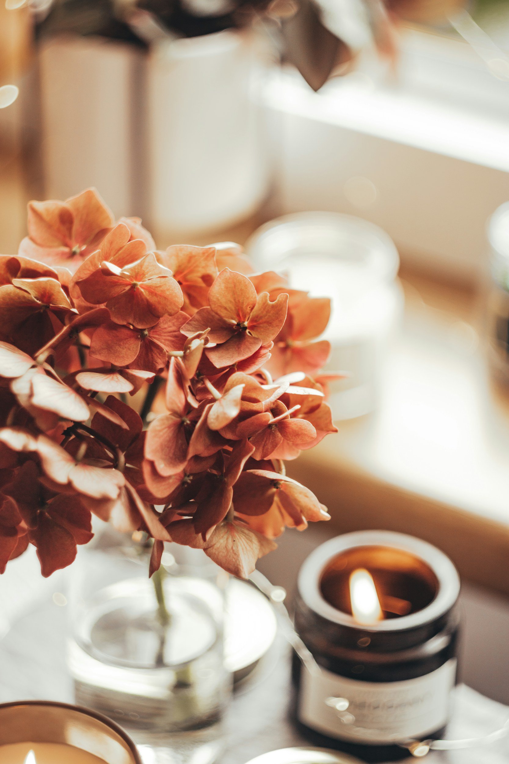 Flower and candle
