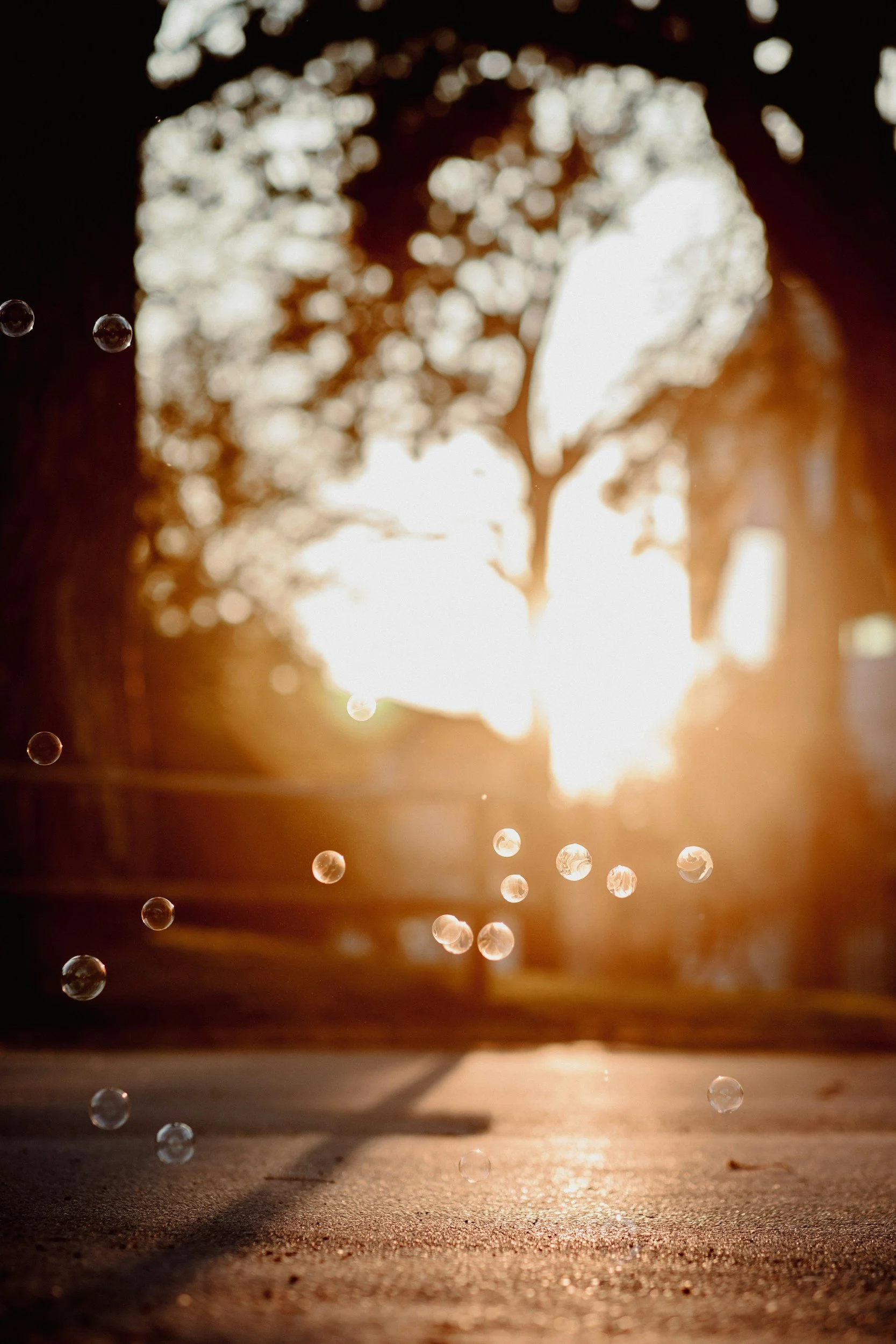 Soap bubbles in warm light