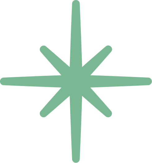 The TNC North Star logo in green.