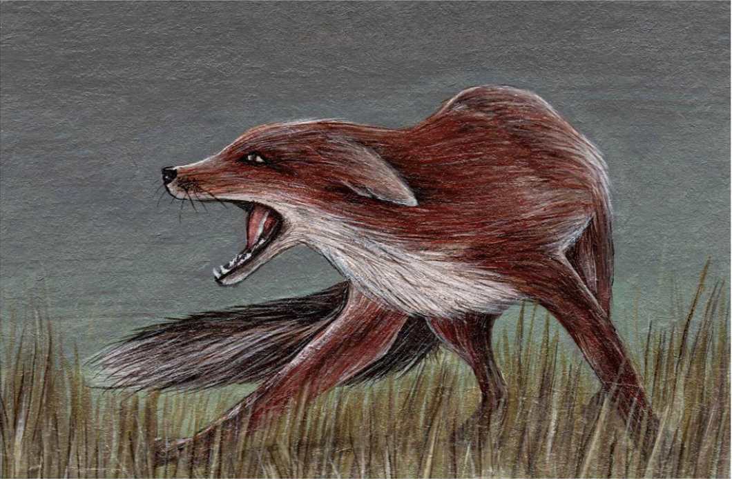 Fox.png