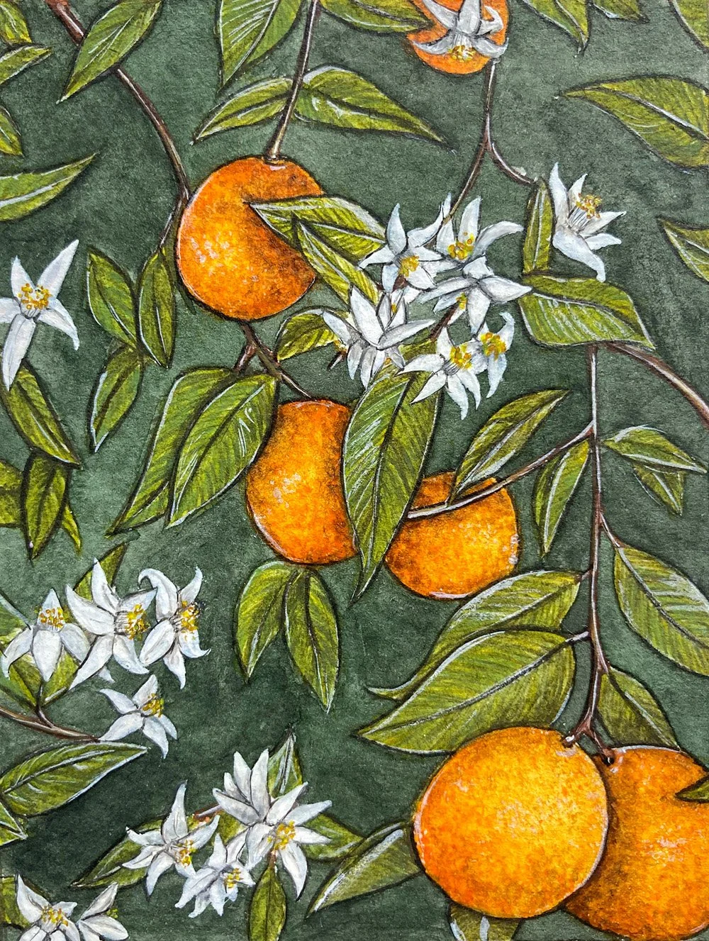 Orangen.jpg