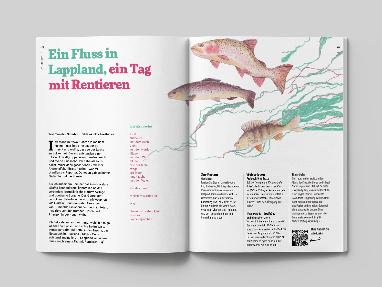 Transform Magazin Ansicht 2024.jpg