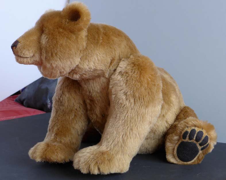 Hastings Grizzly Ted - 2014
